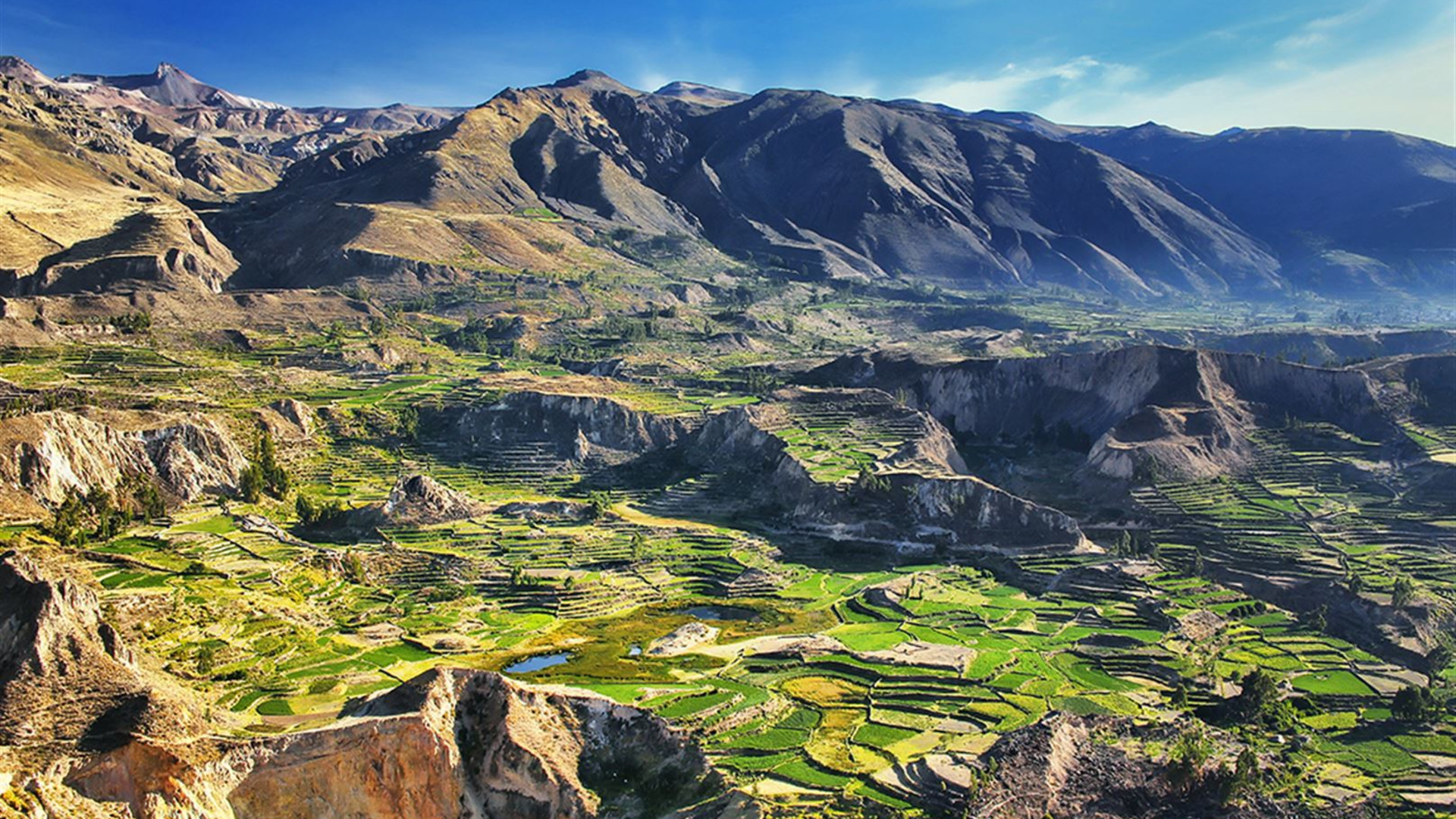 Click to view large image Premium Peru in Depth with Ica Valley