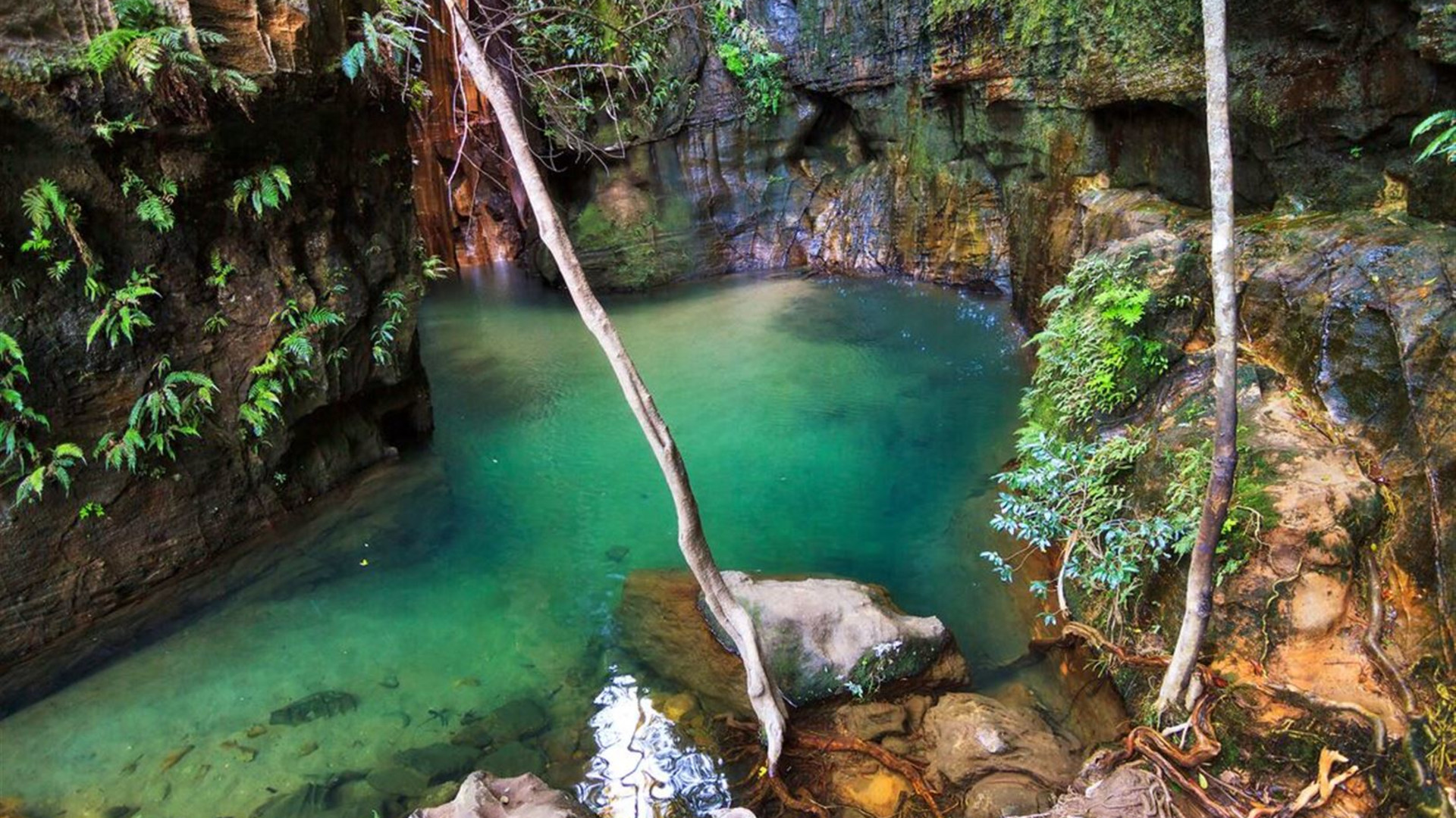 Click to view large image Madagascar Adventure