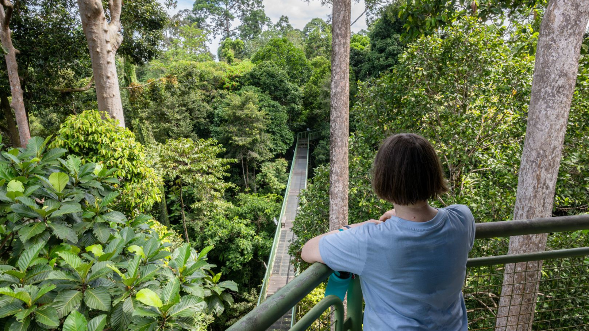 Click to view large image Borneo Wildlife Discoverer