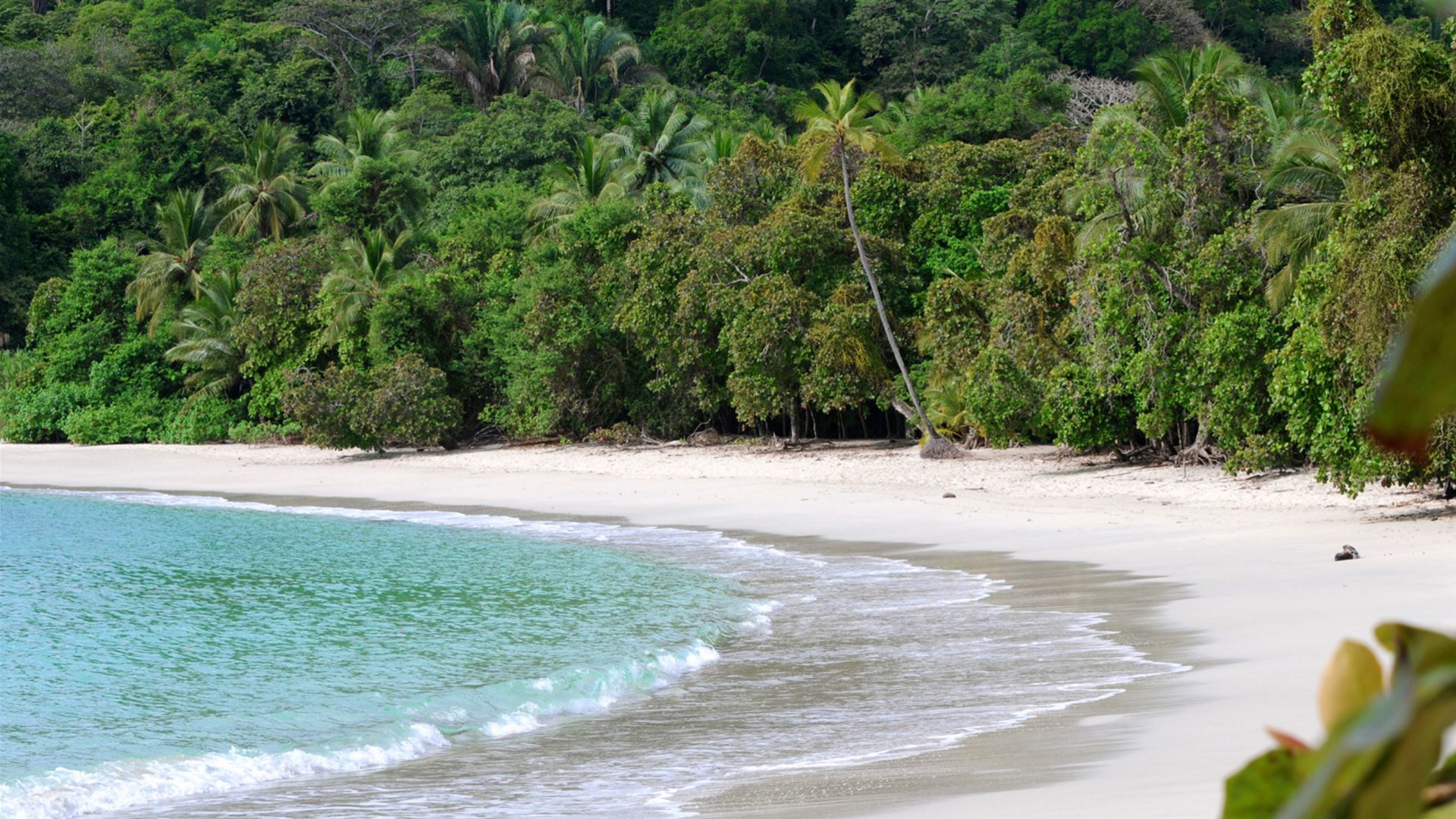 Click to view large image Solo-ish Costa Rica