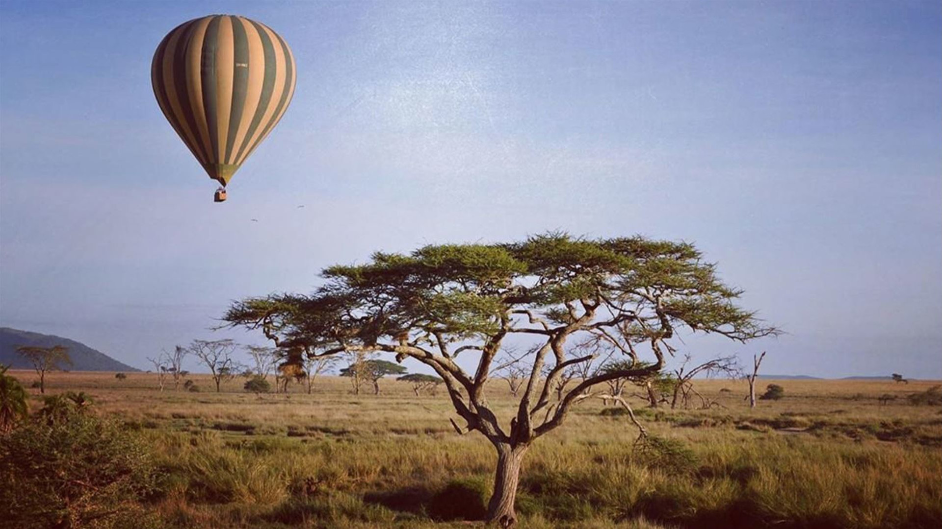 Click to view large image Uganda to Tanzania Overland Safari with Participation Camping