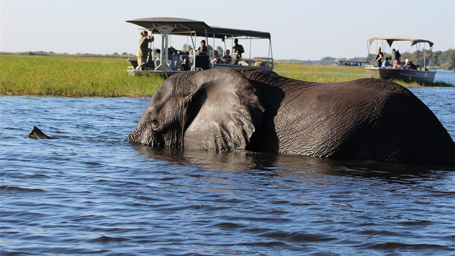 Click to view large image Okavango Experience