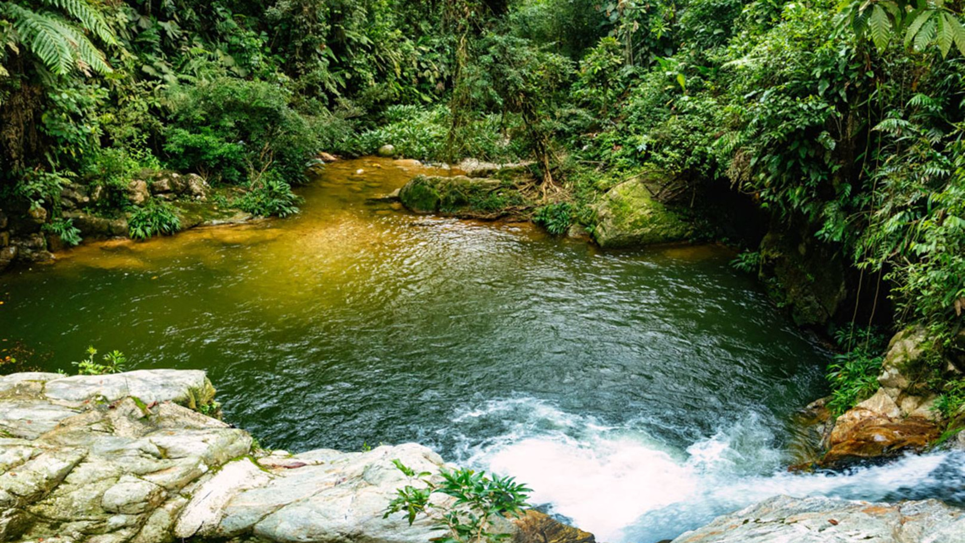 Click to view large image Colombia Adventure & Lost City Trek