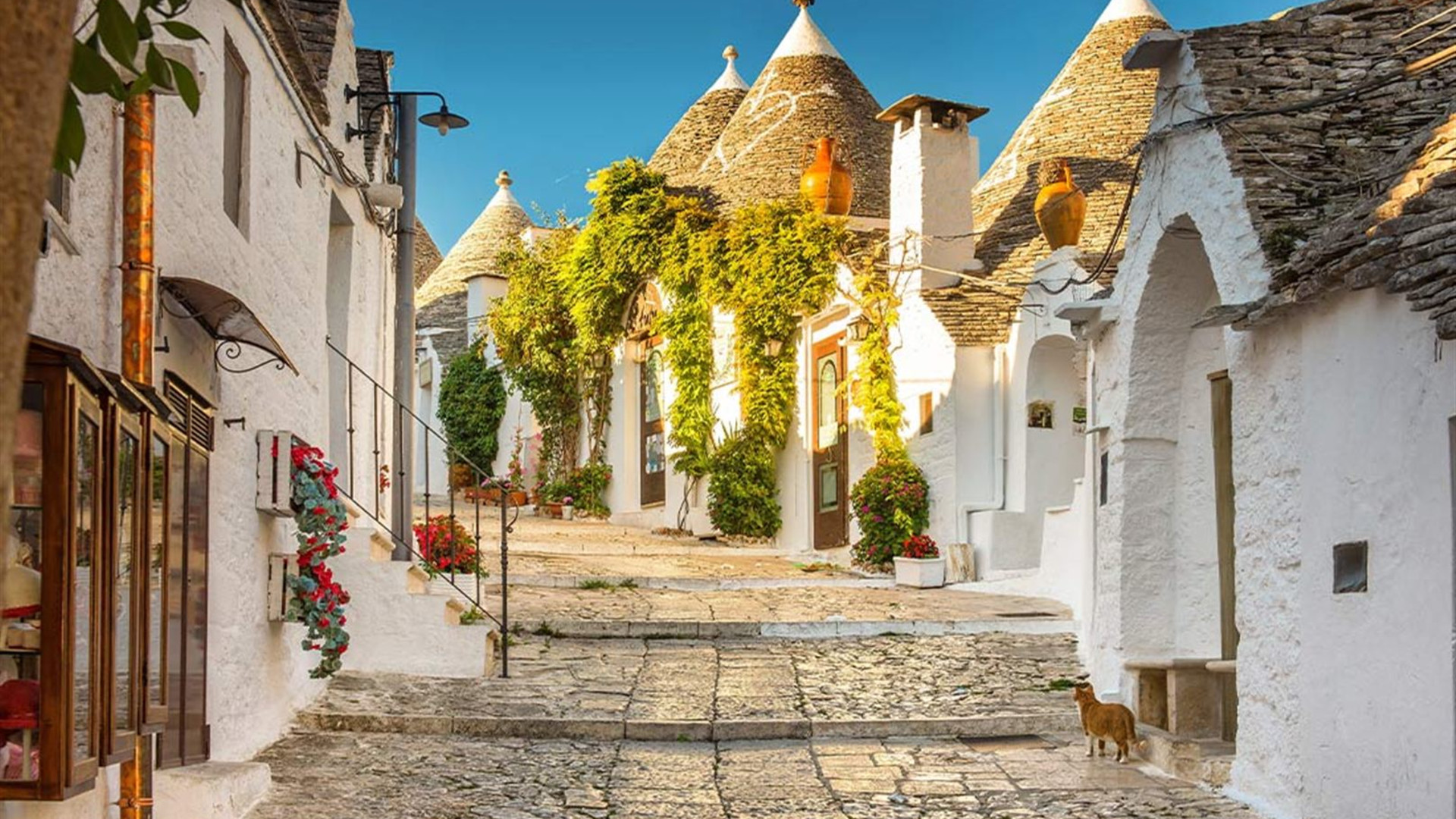 Click to view large image Premium Puglia