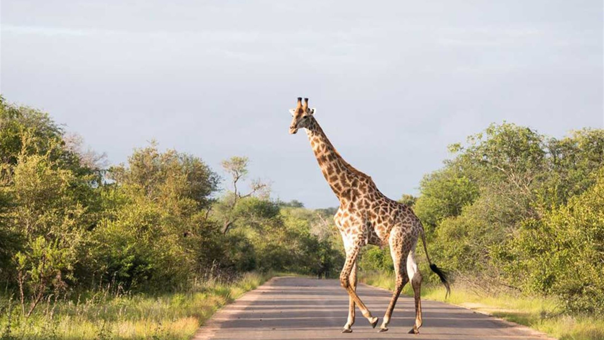 Click to view large image Southern Africa Adventure