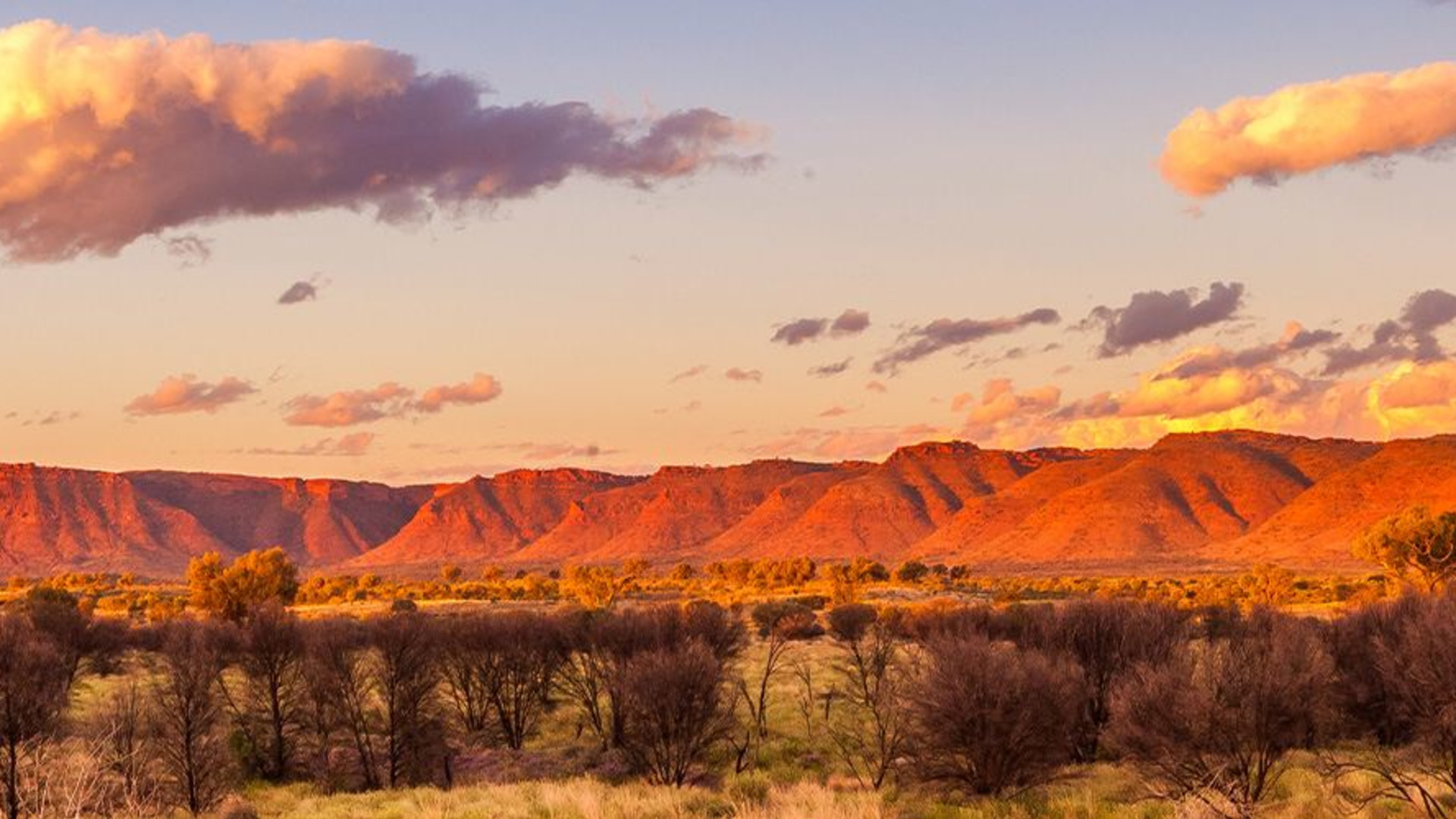 Click to view large image Uluru & Kings Canyon Adventure