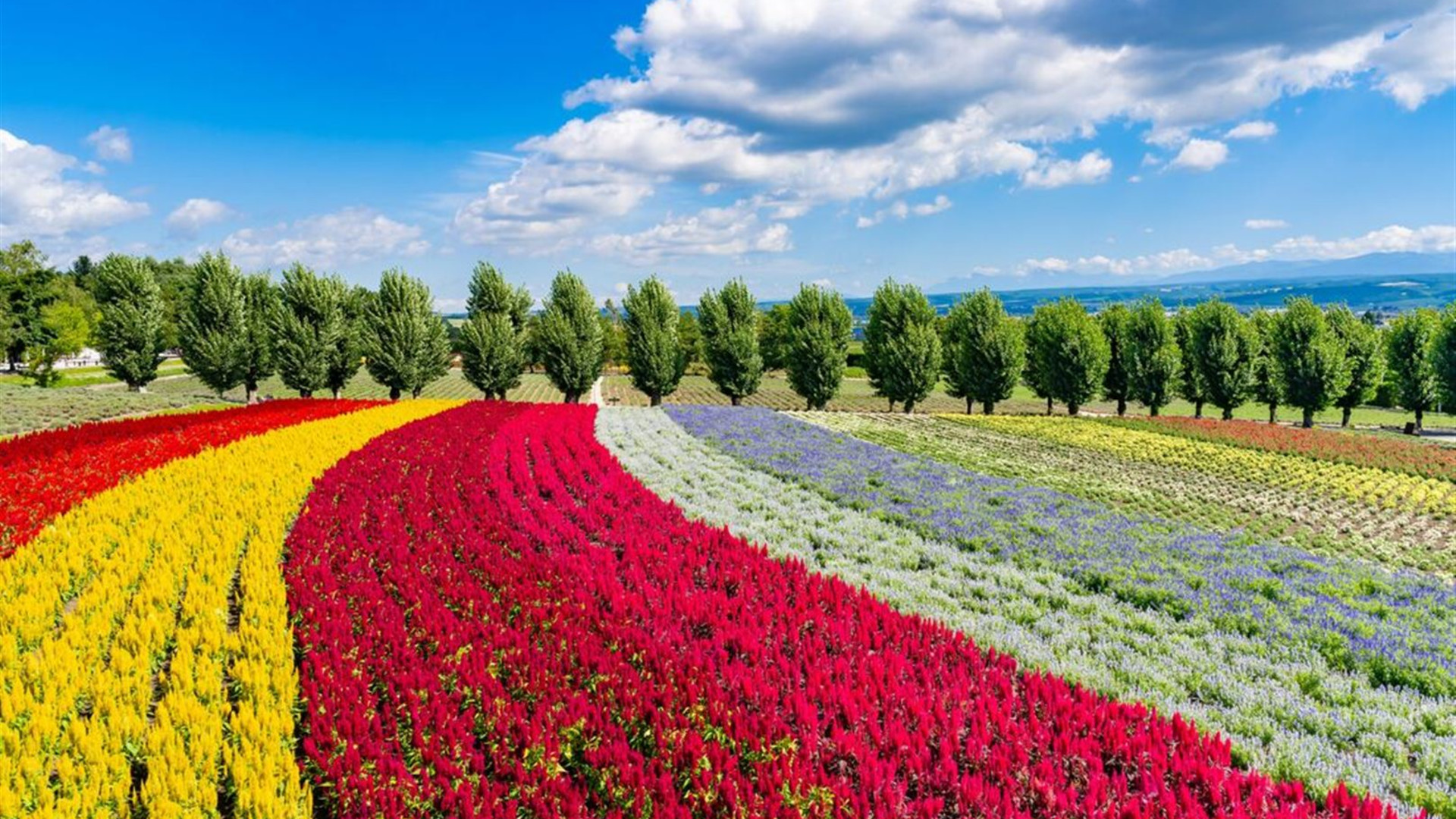 Click to view large image Northern Japan & Hokkaido Adventure