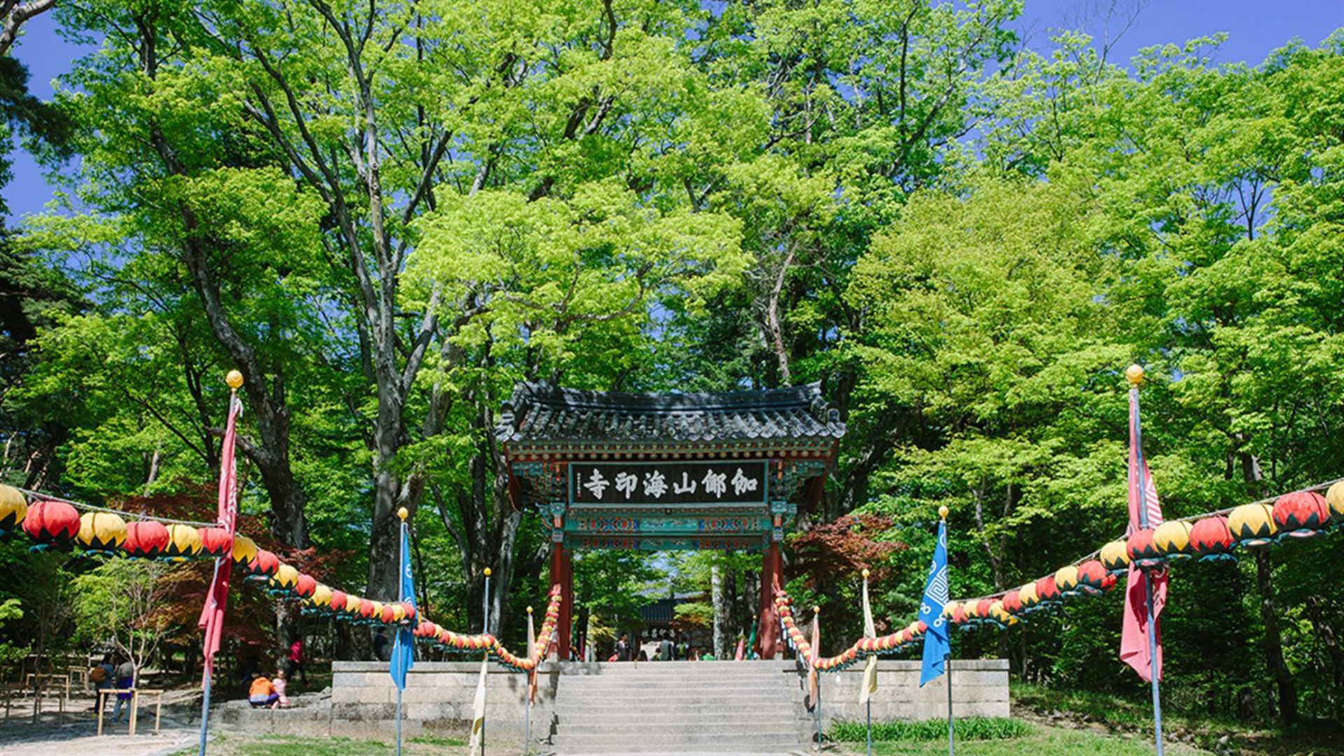 Click to view large image Premium South Korea