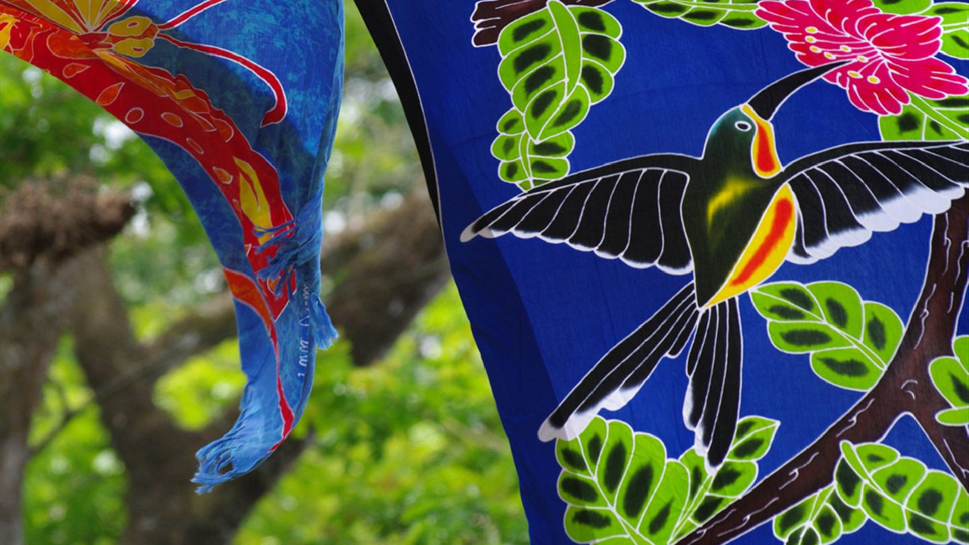Click to view large image Central and South American Adventure: From Costa Rica to Colombia