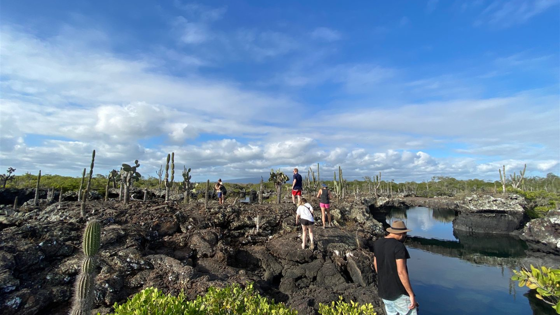 Click to view large image Solo-ish Ecuador & Galapagos