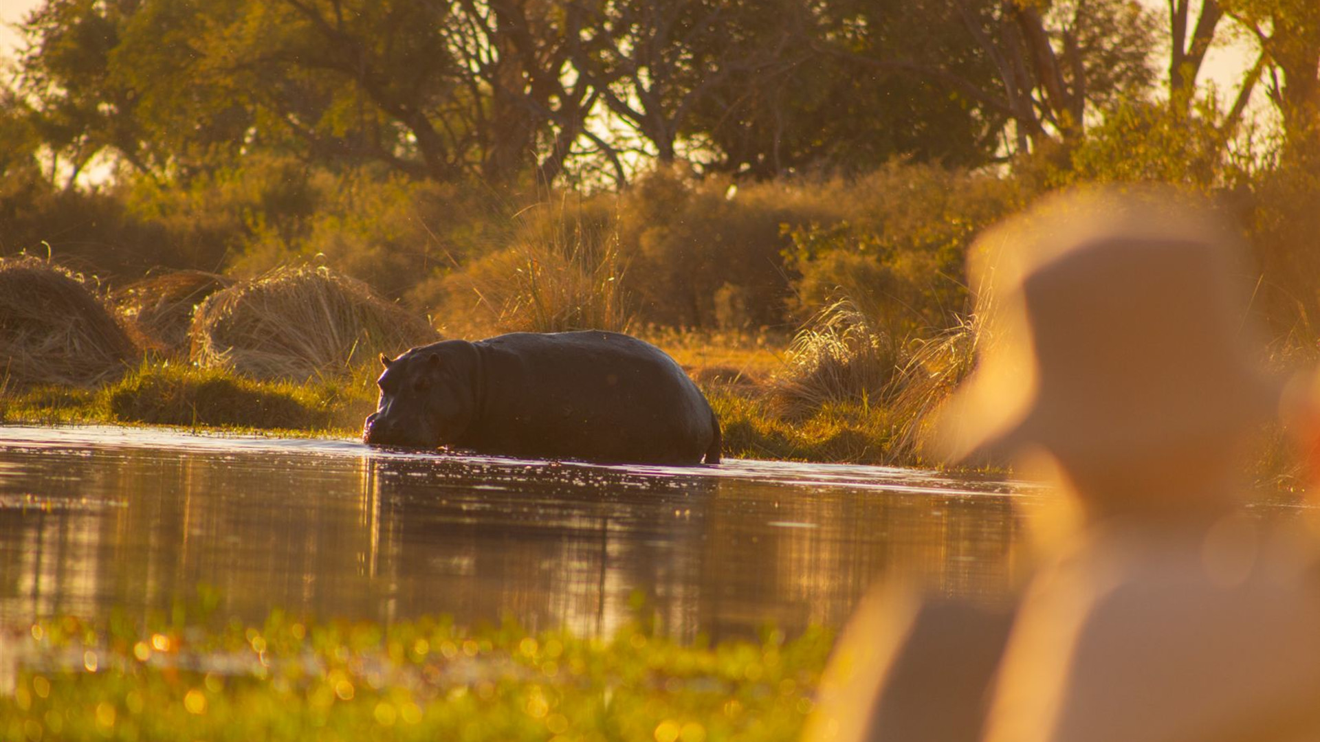 Click to view large image Botswana & Zimbabwe Lodge Safari