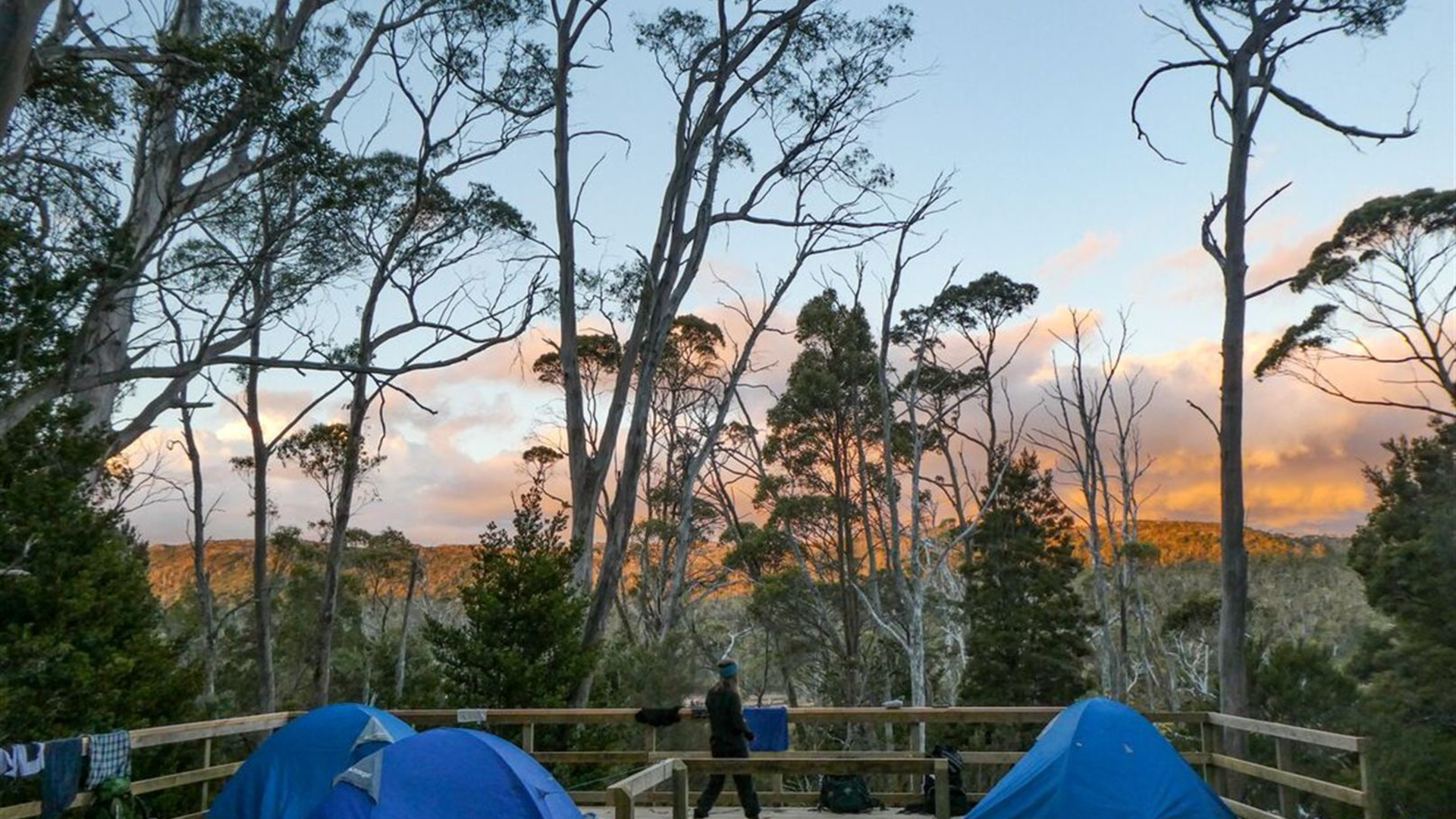Click to view large image Trek the Cradle Mountain Overland Track