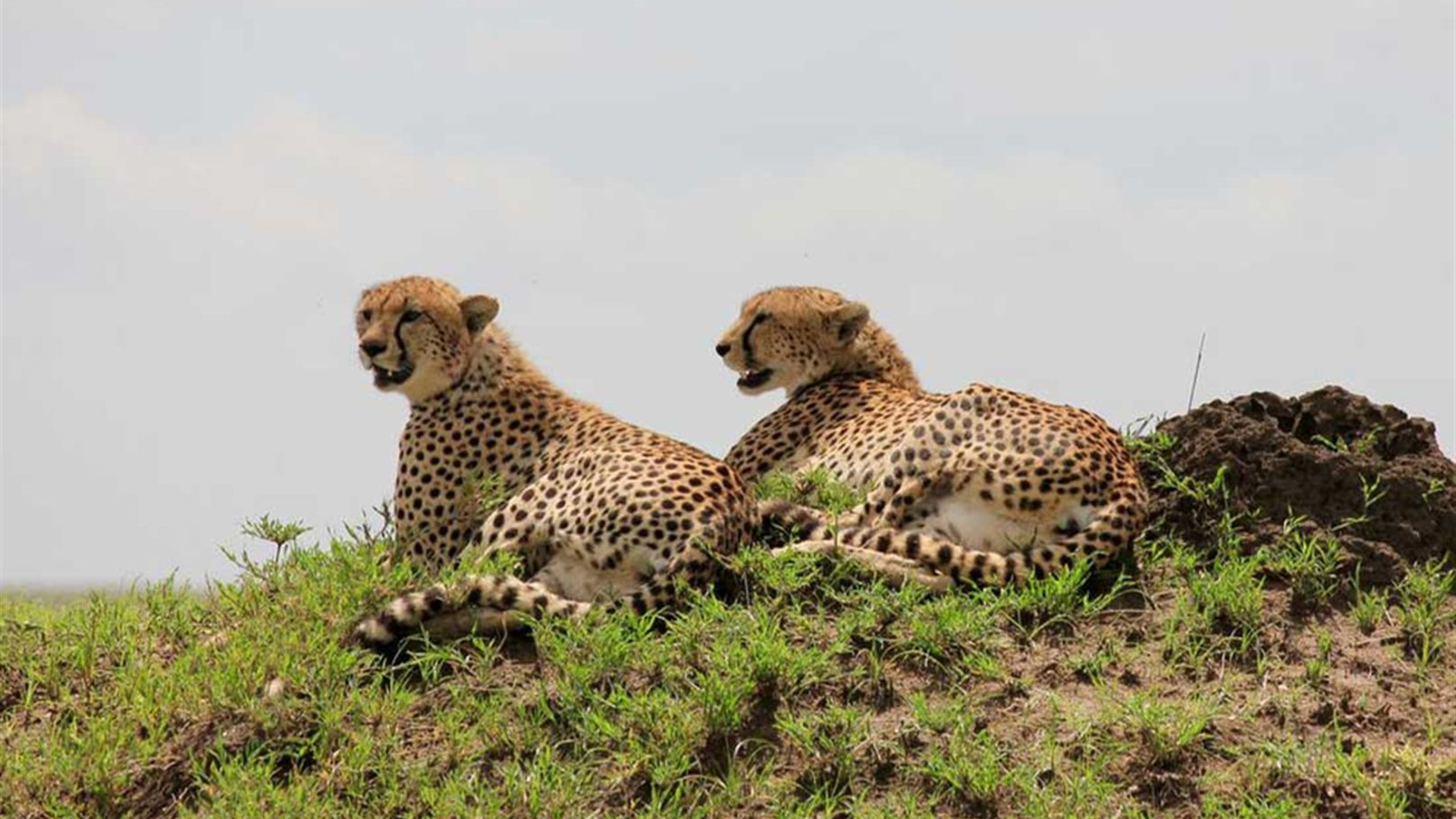 Click to view large image Johannesburg to Kenya