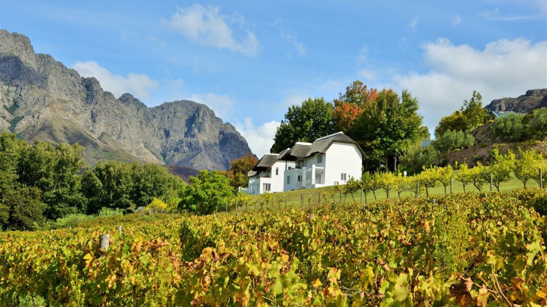 Click to view large image Premium Cape Town and the Garden Route