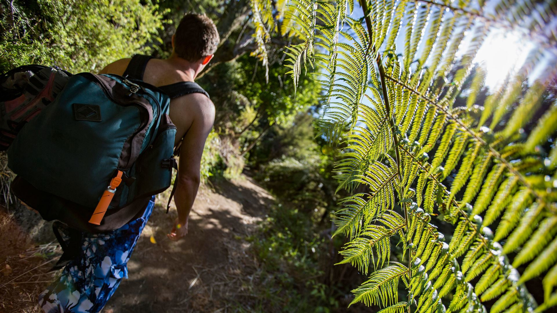Click to view large image Australia And New Zealand: Bushwalks & Beaches