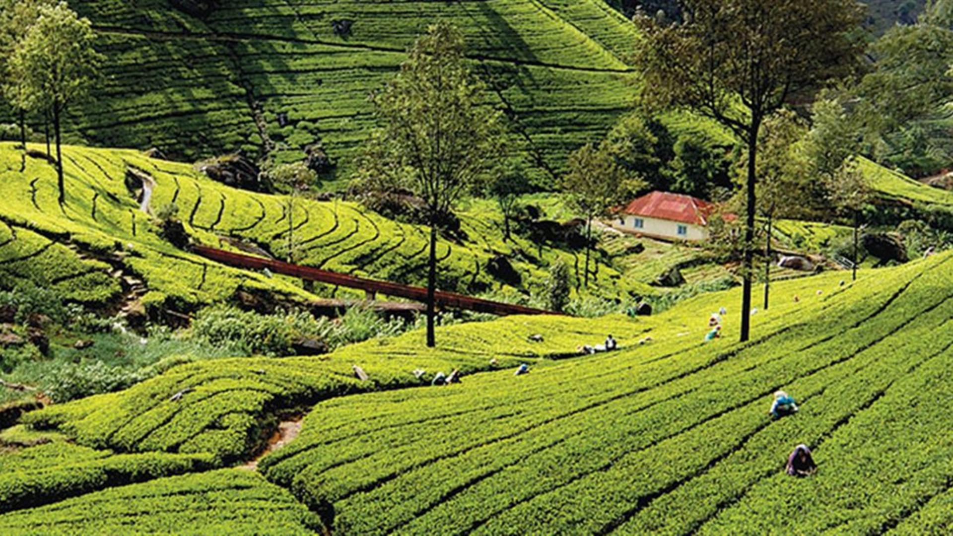 Click to view large image Sri Lanka: Hike, Bike & Kayak