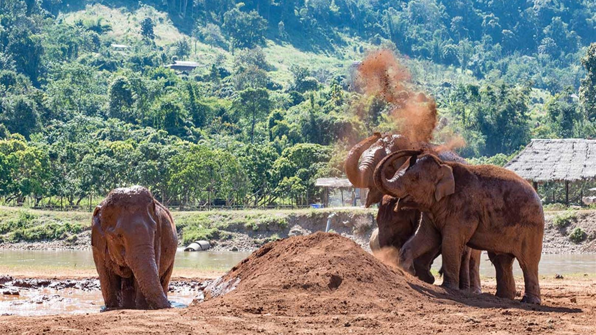 Click to view large image Premium South East Asia in Depth