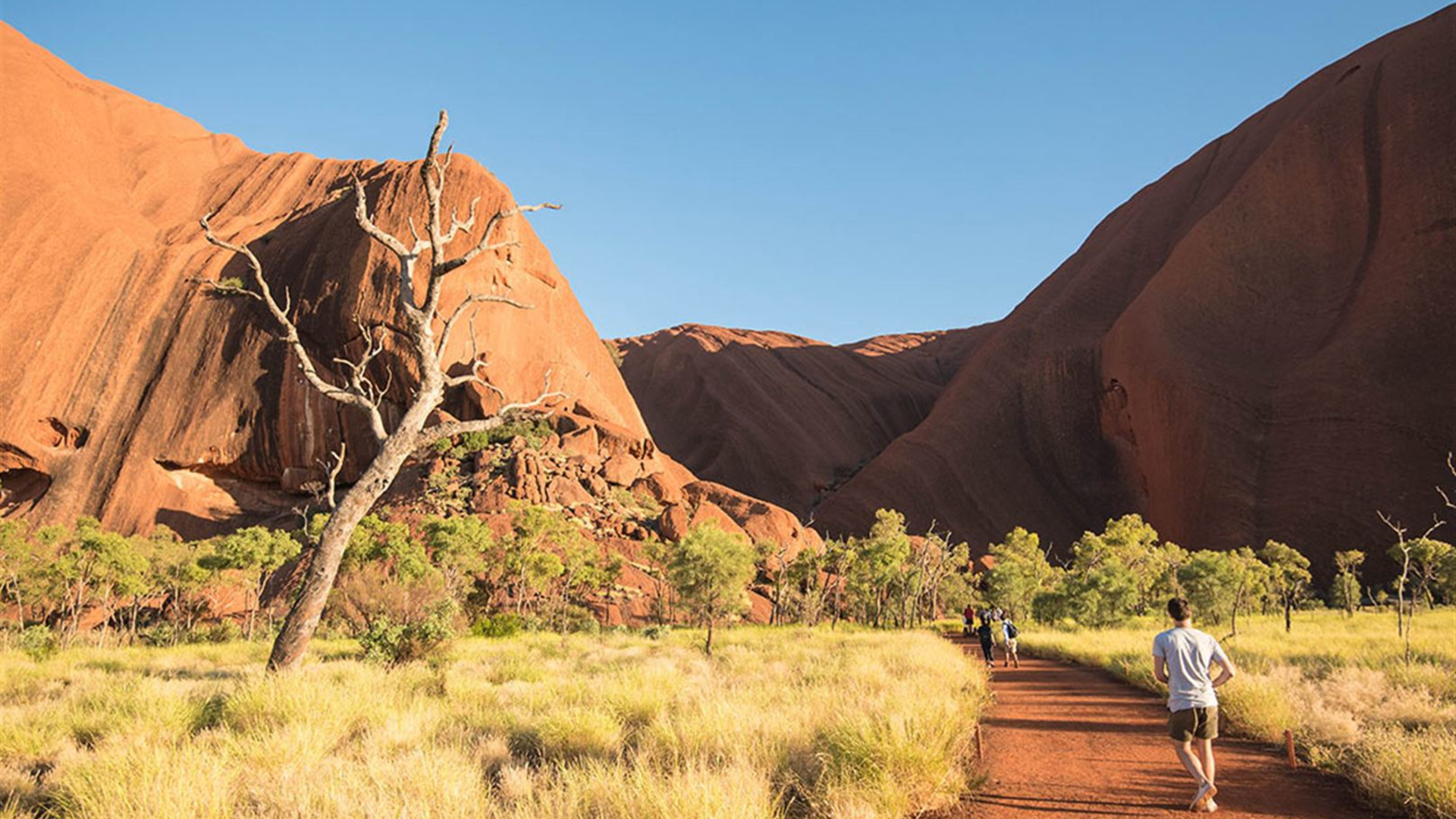 Click to view large image Uluru & Kings Canyon Adventure