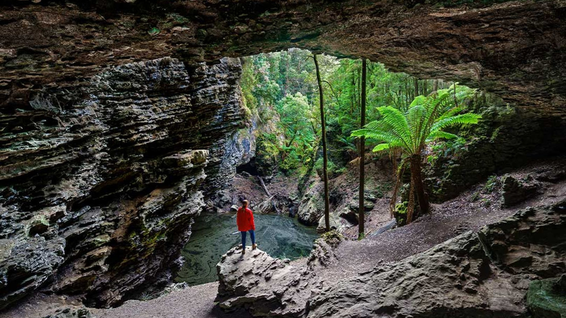 Click to view large image Best of Tasmania's Tarkine & Cradle Mountain