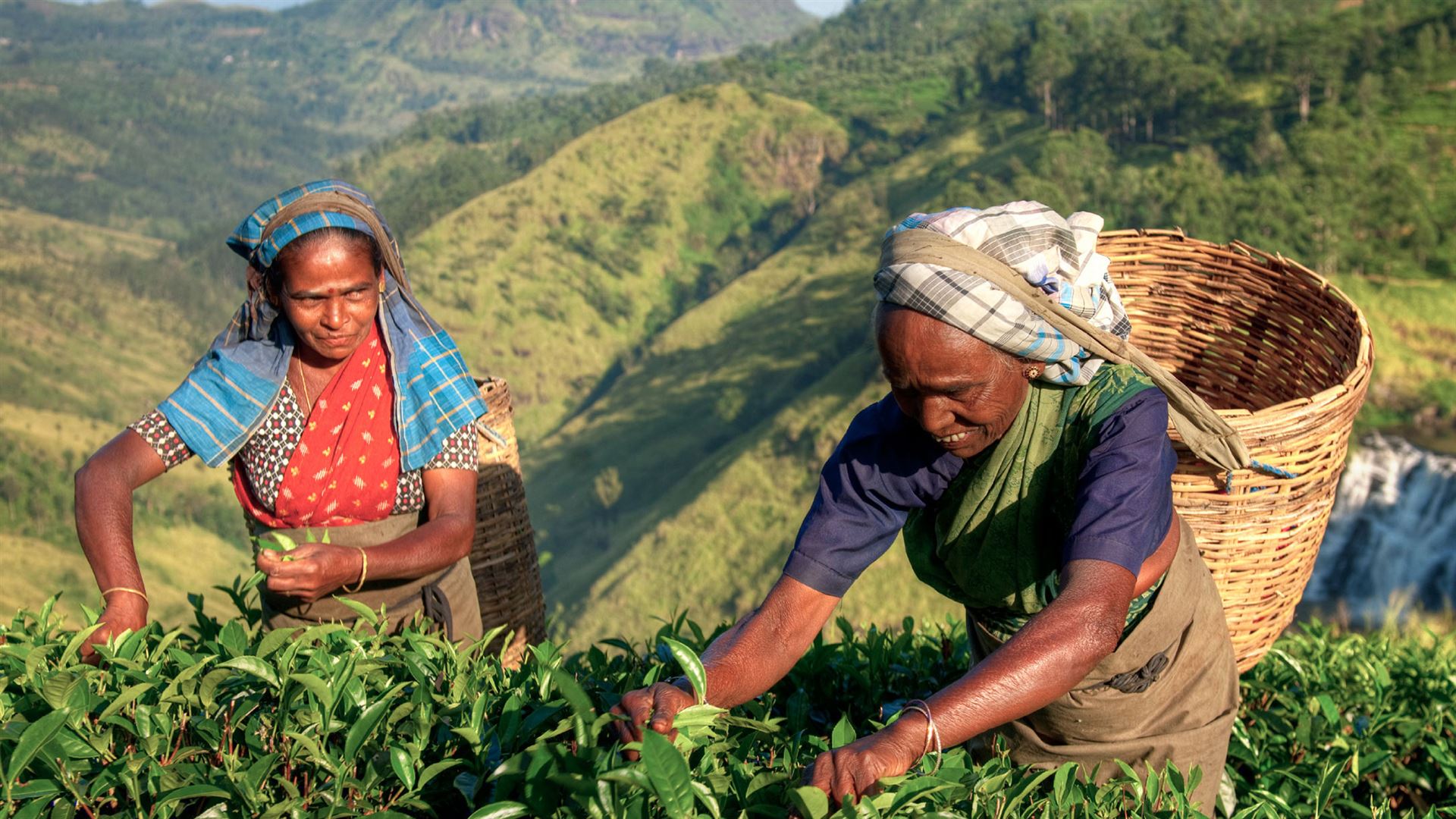 Click to view large image Sri Lanka Encompassed