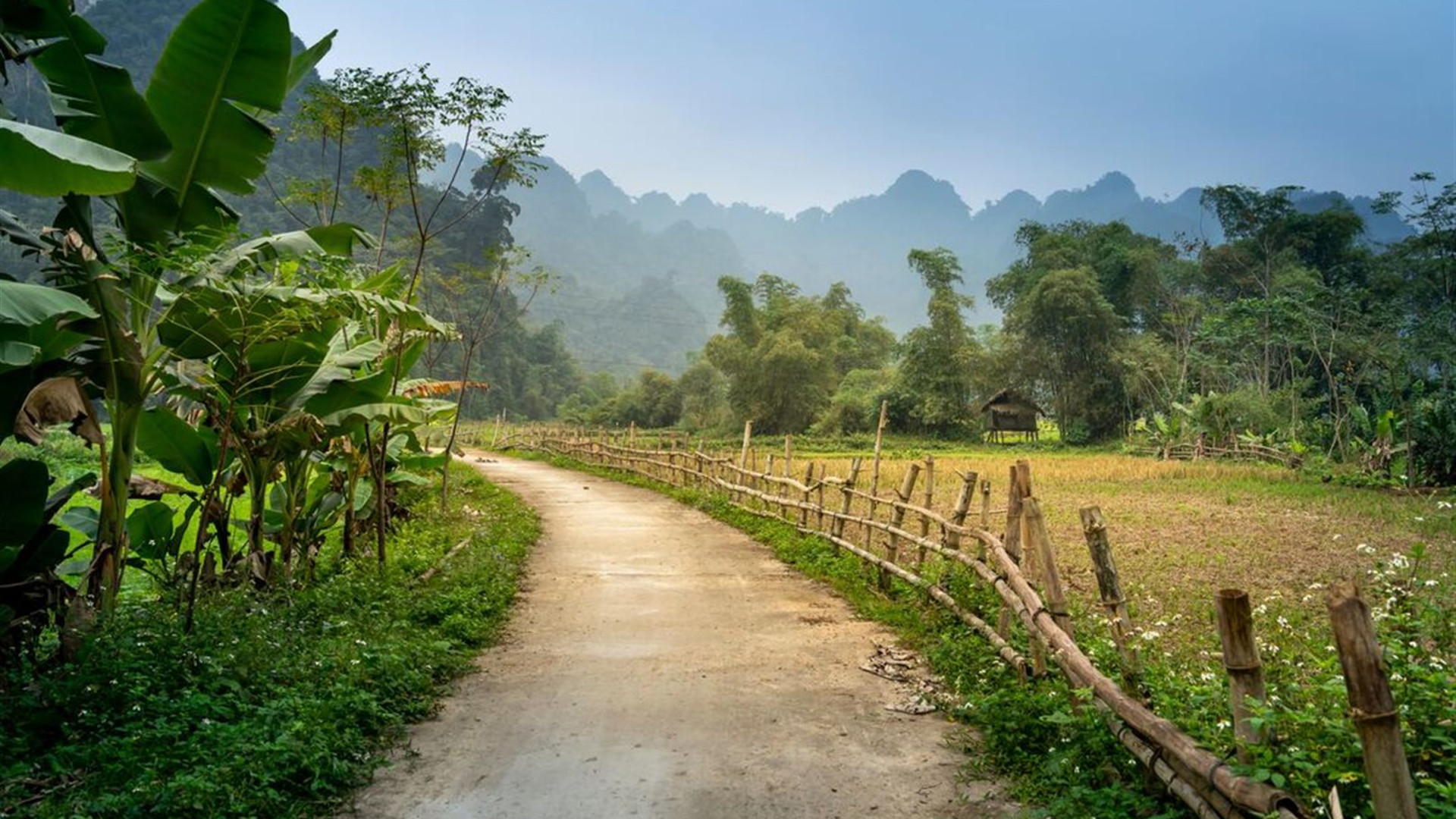 Click to view large image Best of Vietnam