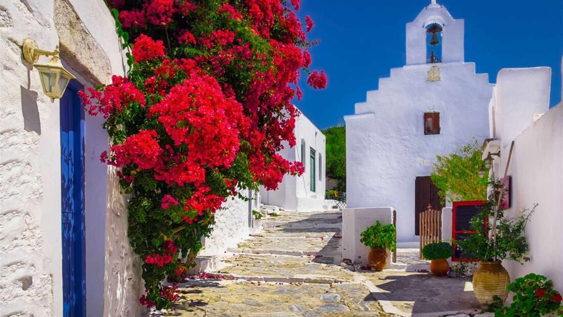 Click to view large image Sail Greece: Mykonos to Santorini