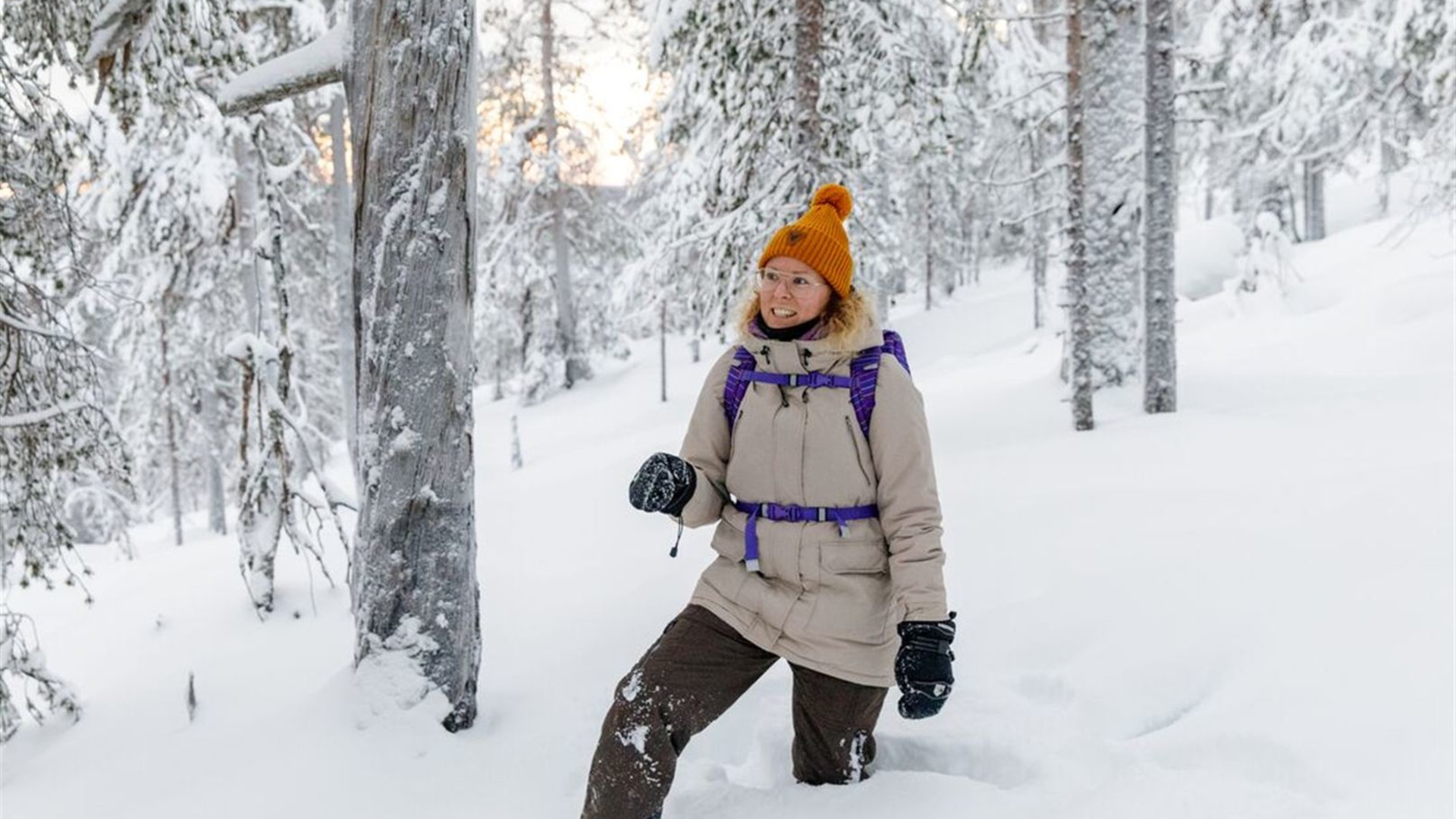 Click to view large image Finnish Lapland in Winter