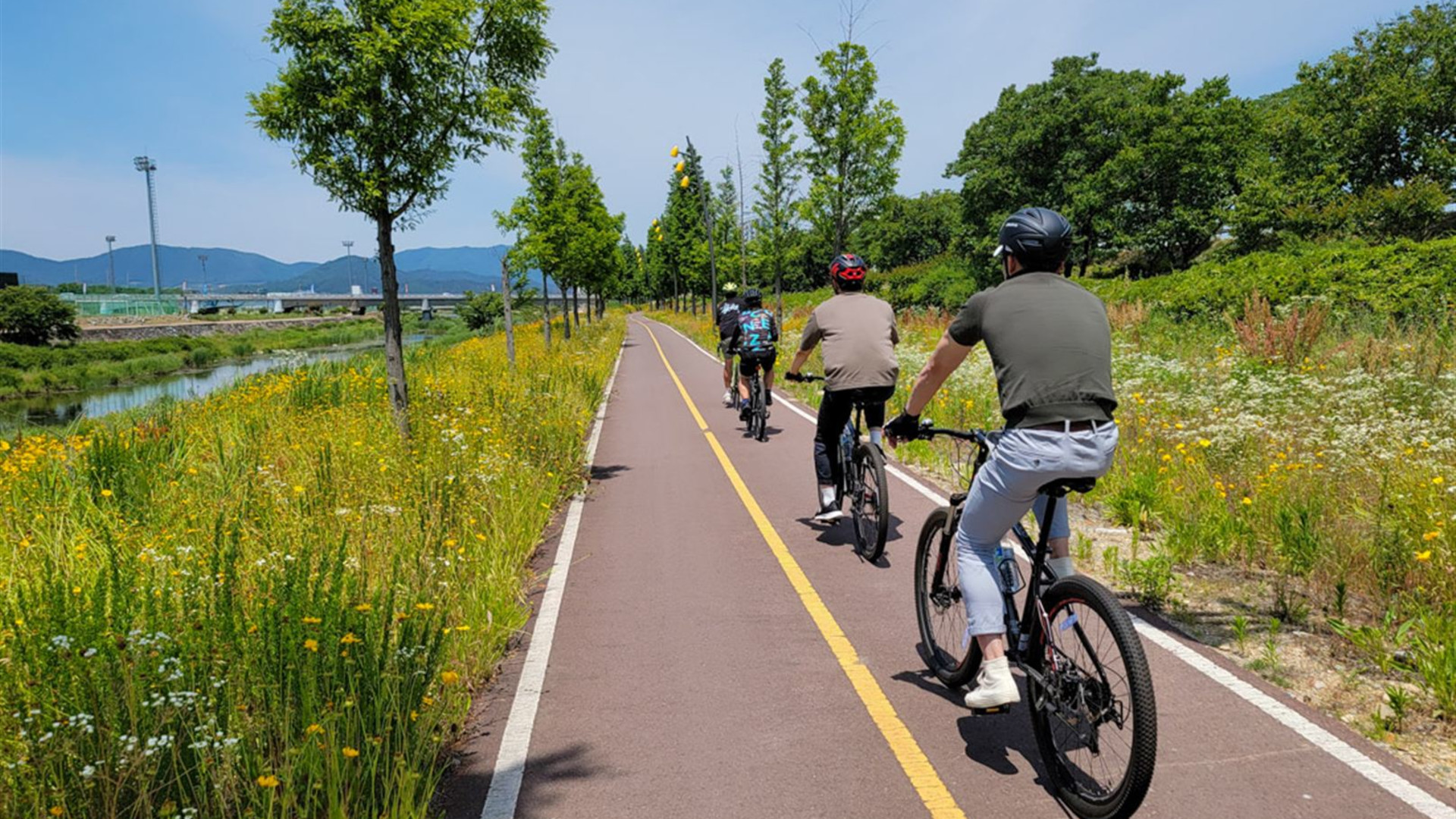 Click to view large image Cycle South Korea