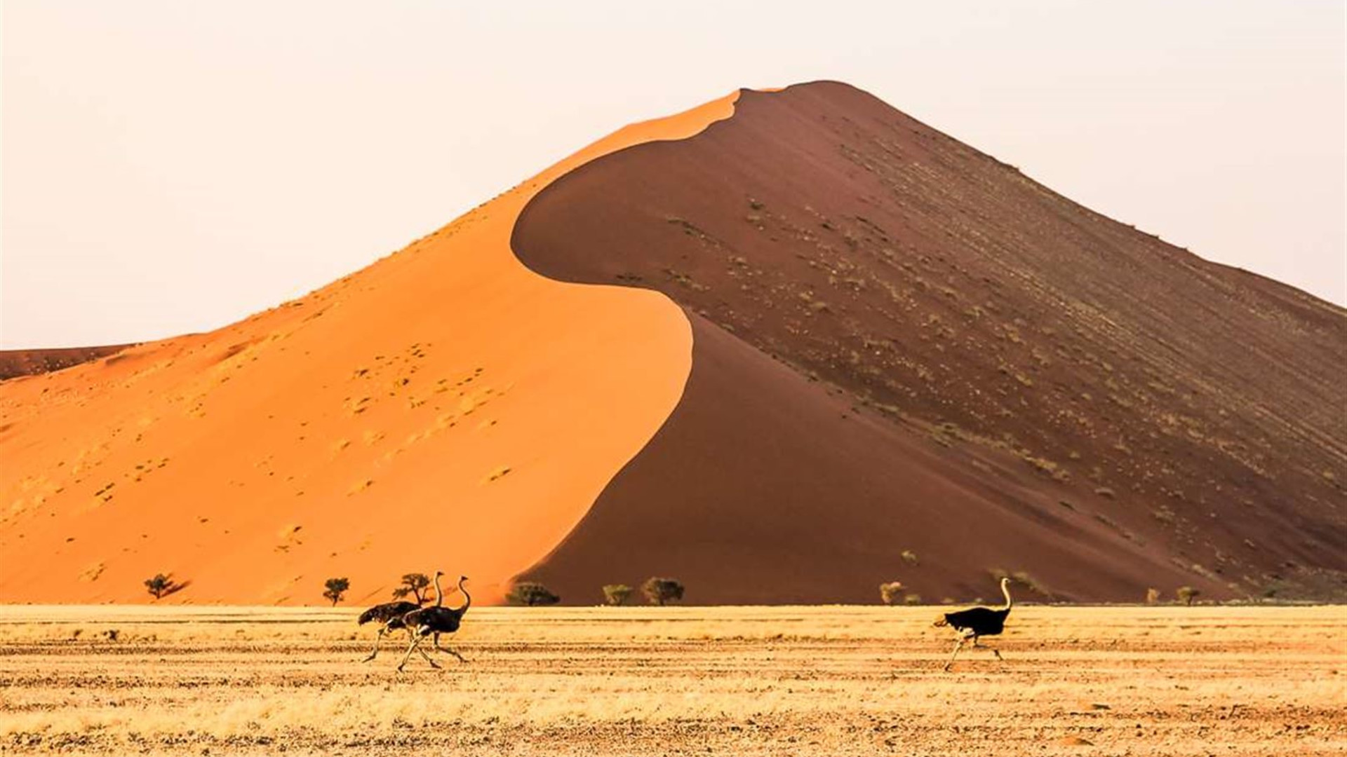 Click to view large image Africa Encompassed Southbound