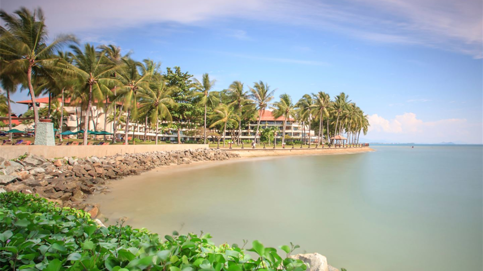 Click to view large image Journeys: Best of Borneo