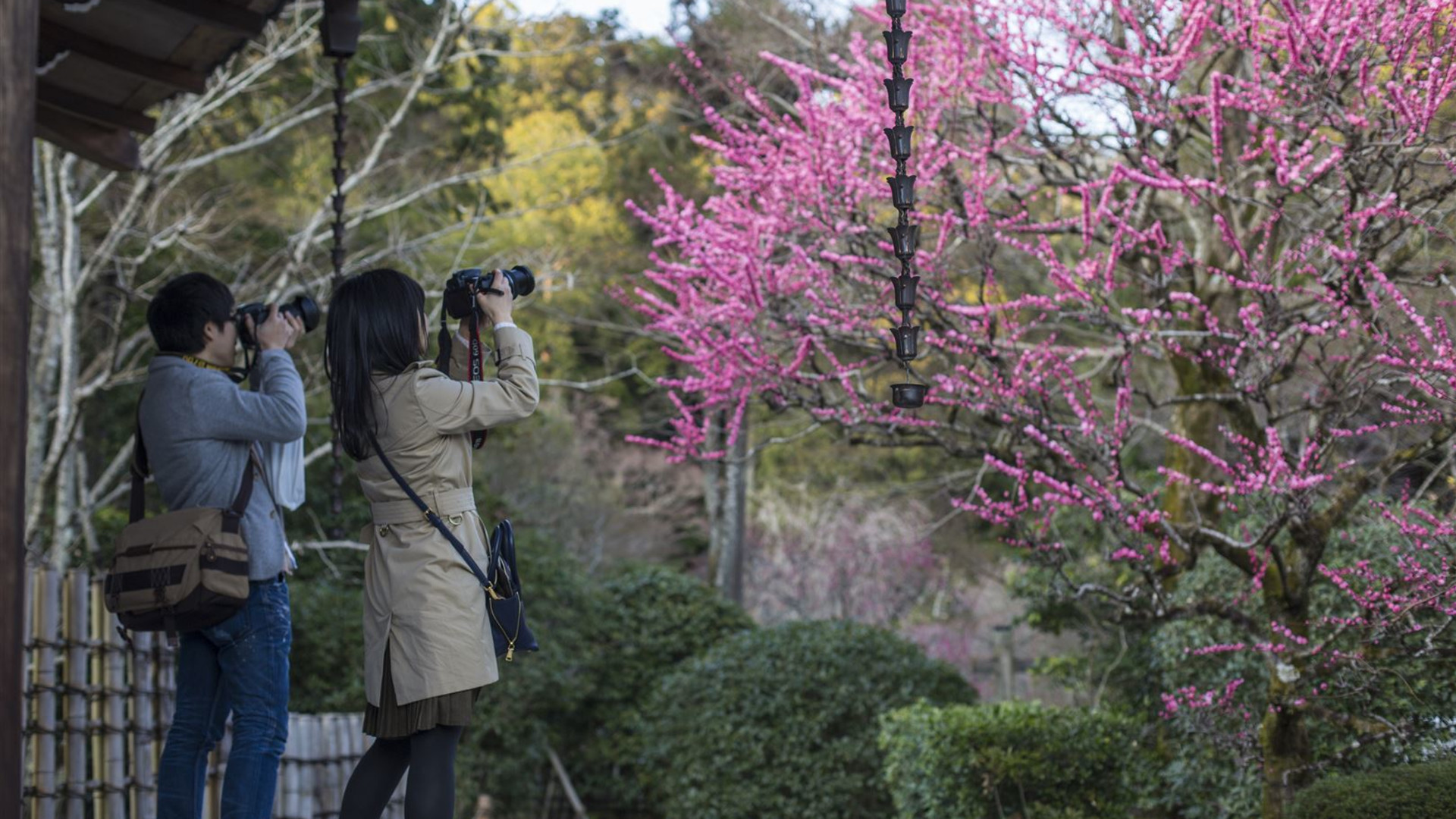 Click to view large image Japan: Kyoto, Tokyo & the Michinoku Coastal Trail