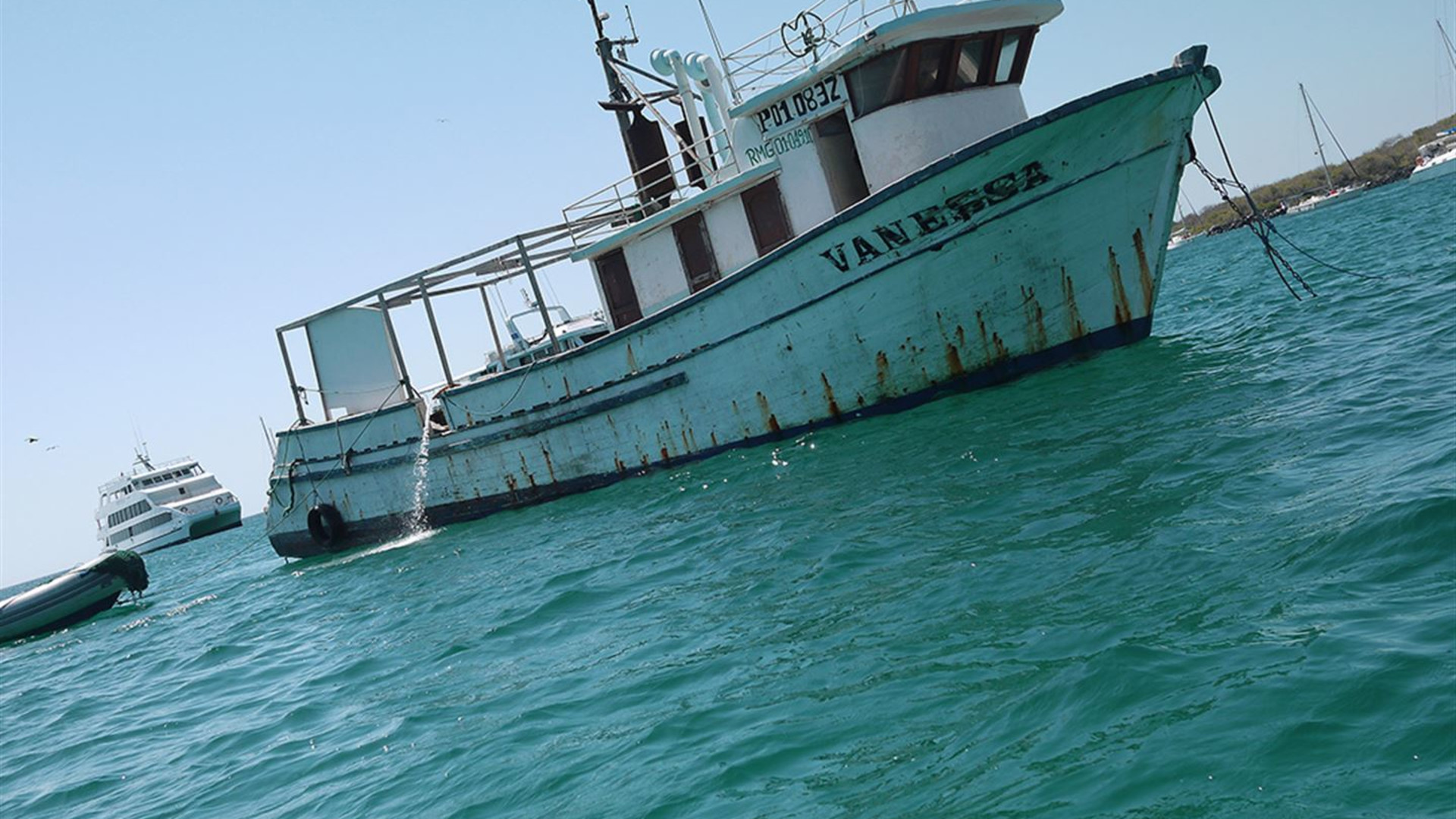 Click to view large image Galapagos — East, Central, & West Islands aboard the Eden