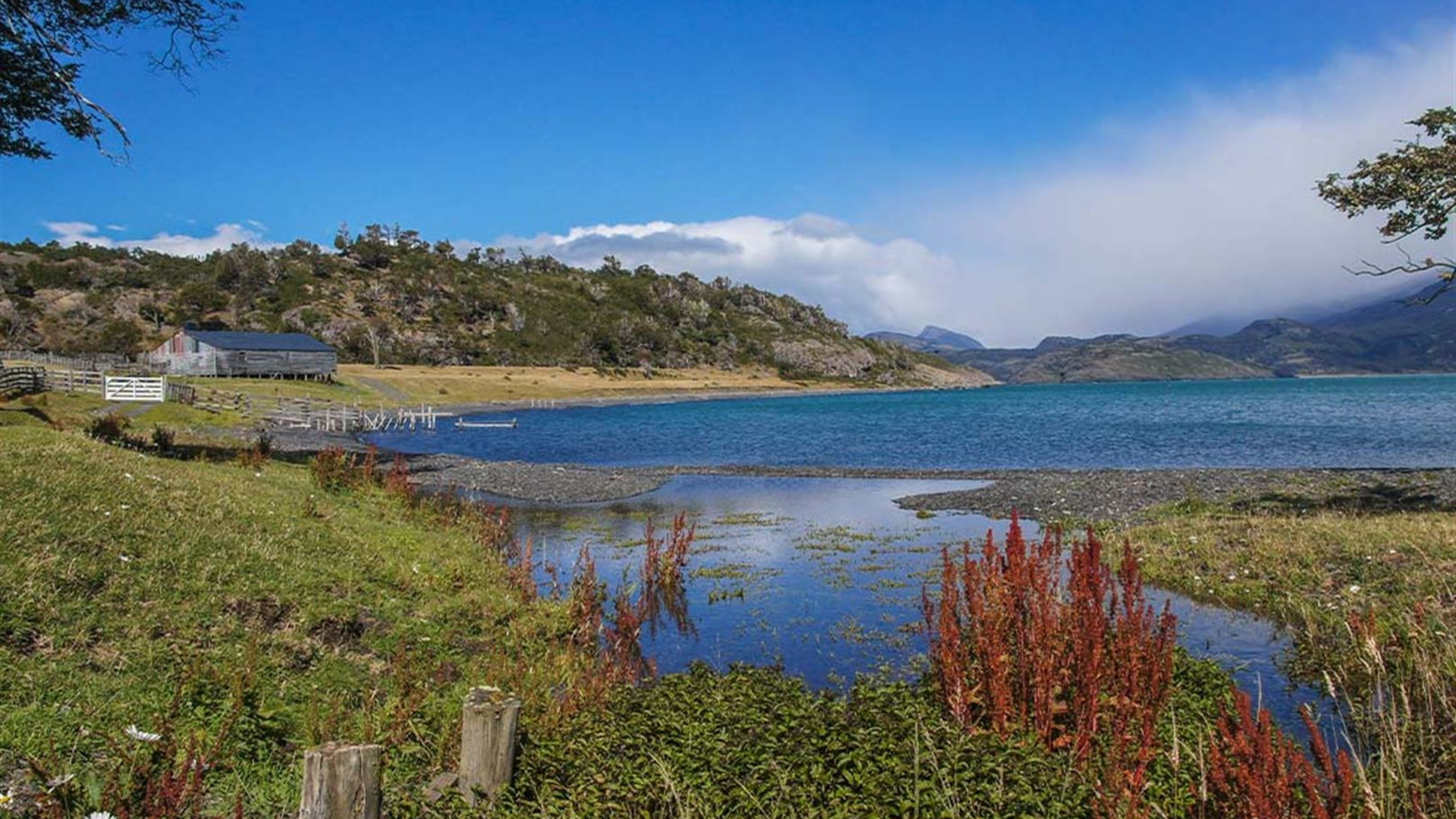 Click to view large image Premium Patagonia