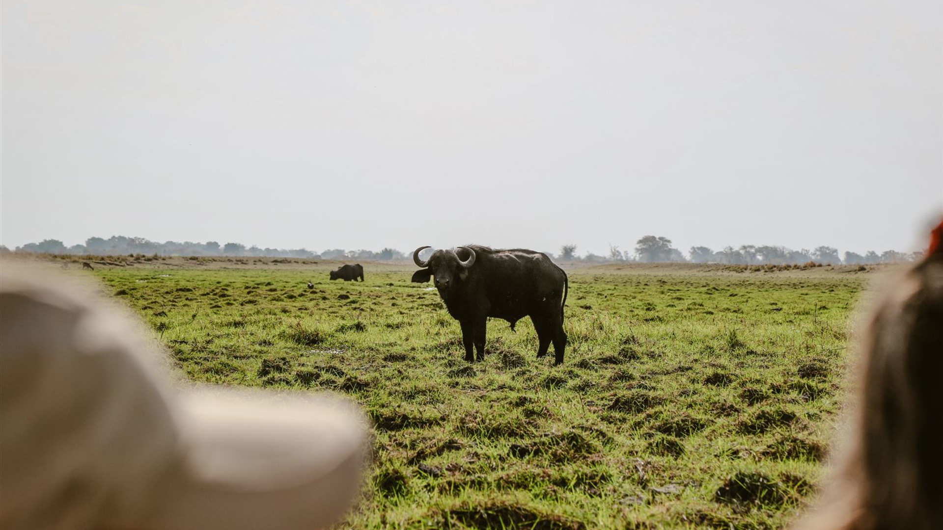 Click to view large image Botswana & Zimbabwe Lodge Safari