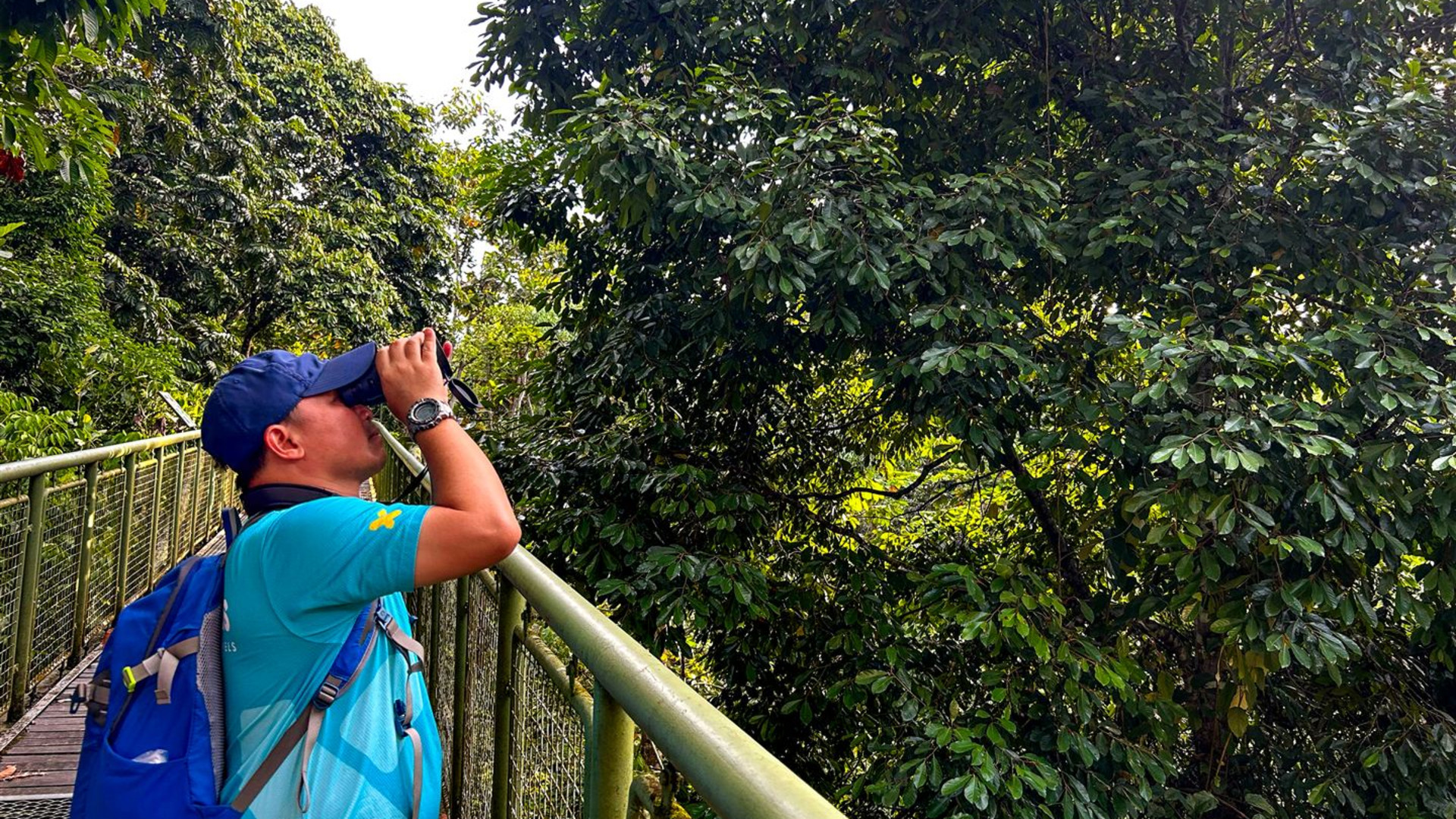 Click to view large image Borneo Wildlife Discoverer