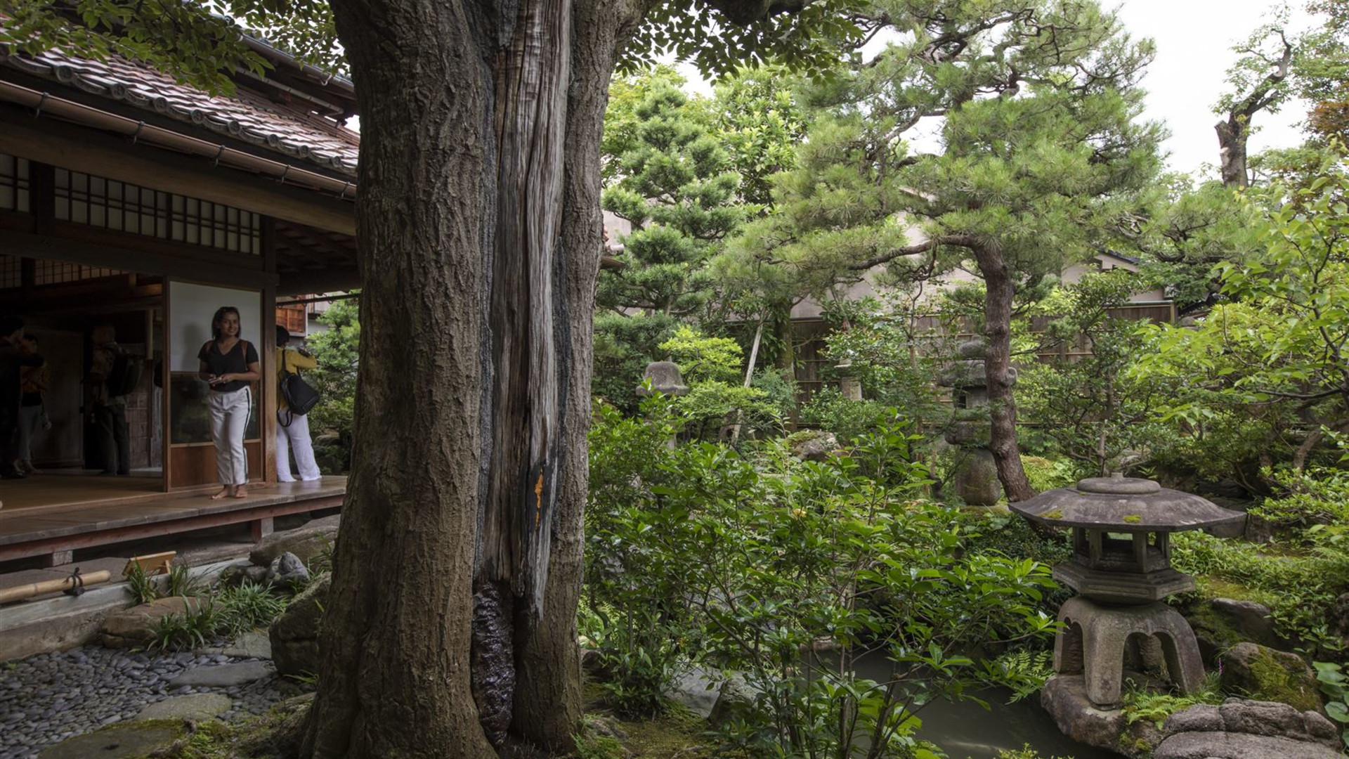 Click to view large image Journeys: Iconic Japan