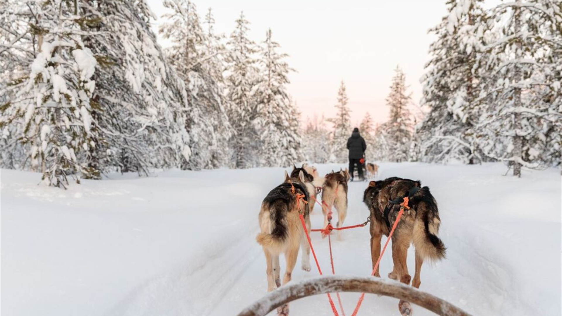 Click to view large image Finnish Lapland Winter Family Holiday