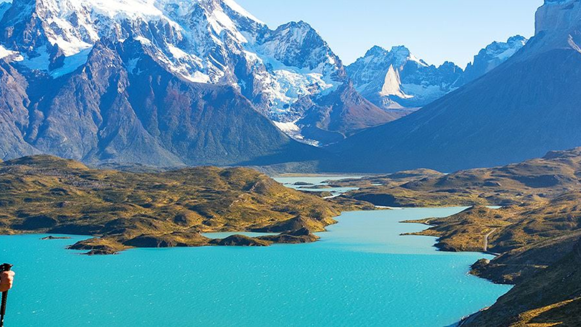 Click to view large image Premium Patagonia