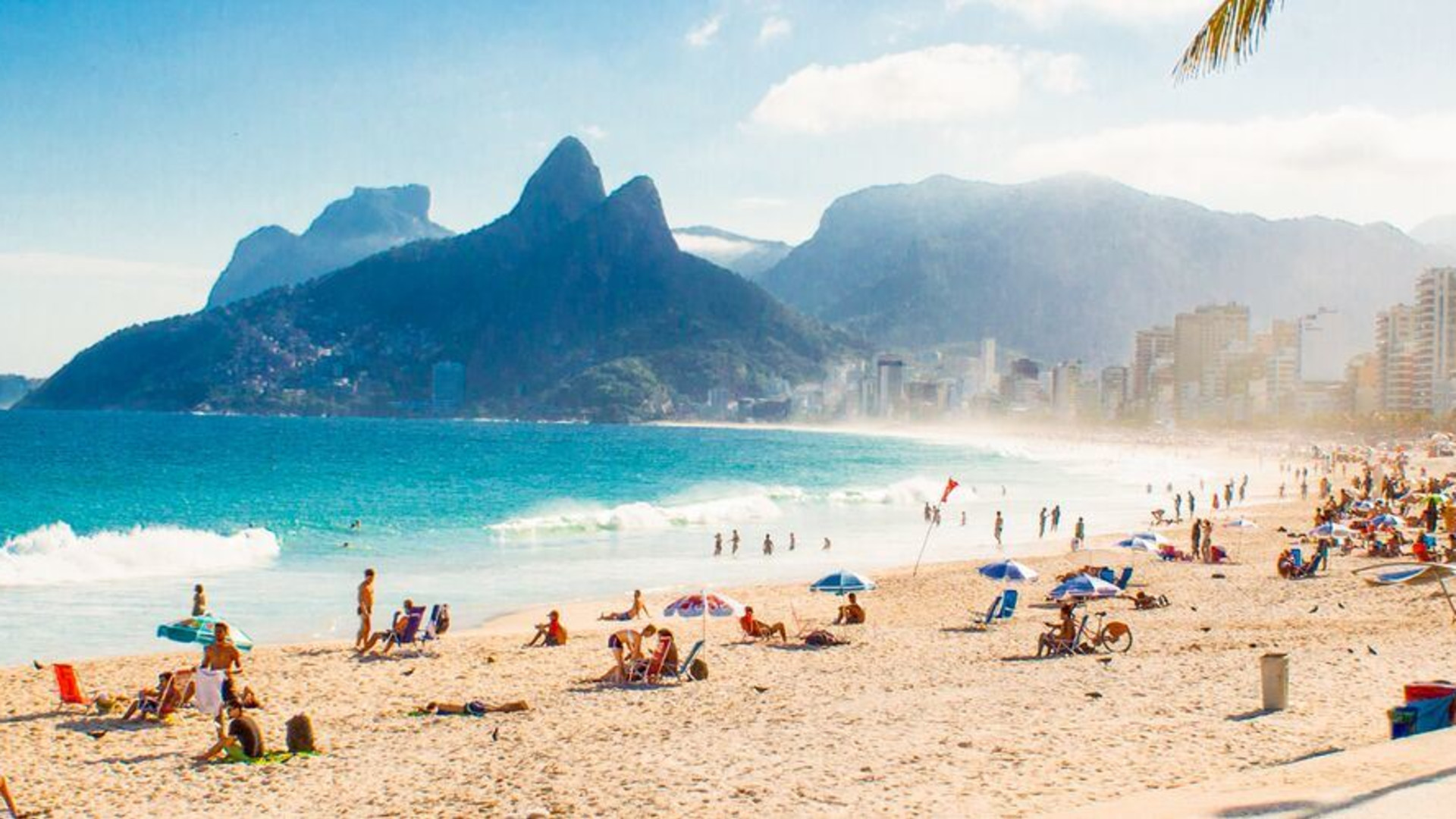 Click to view large image Best of Brazil