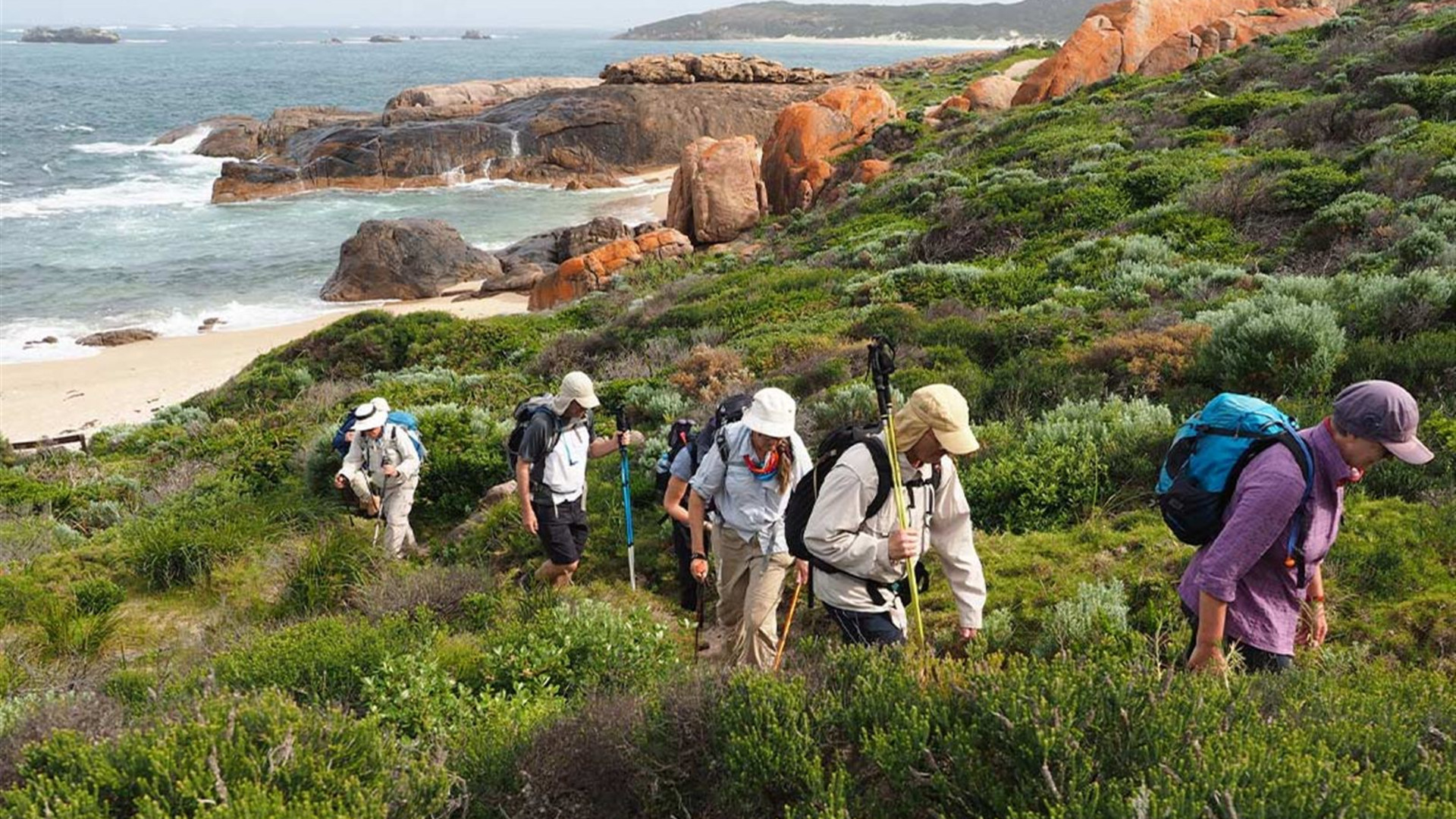 Click to view large image Hike Western Australia's Cape to Cape Track