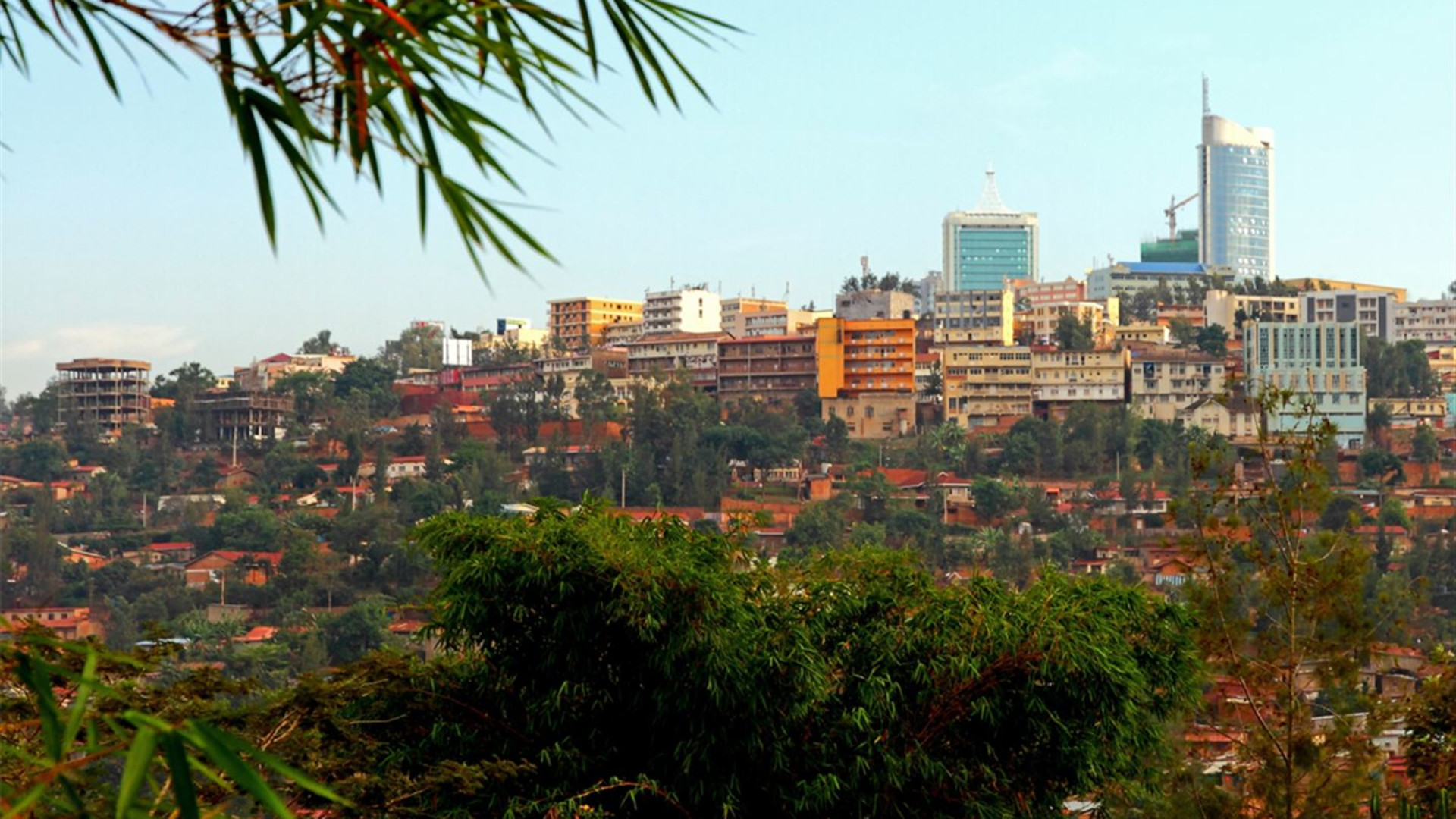 Click to view large image Journeys: Legendary Wildlife of Rwanda & Kenya