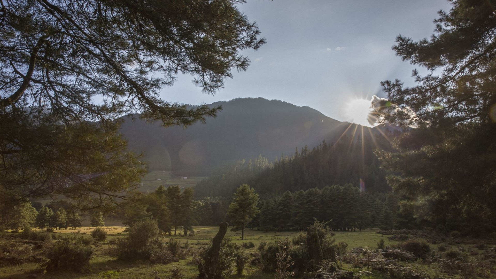 Click to view large image Journeys: Wonders of Bhutan