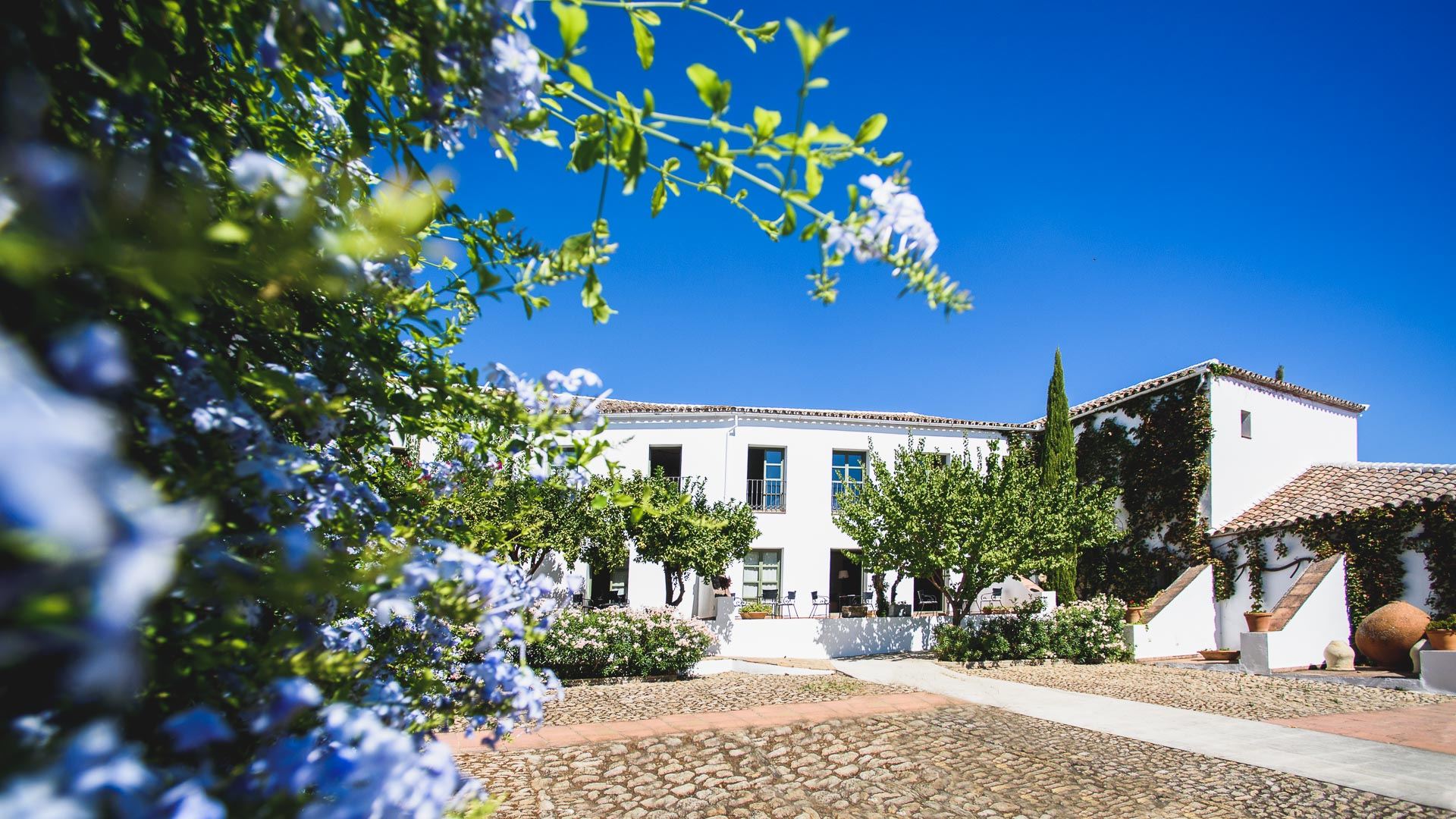 Click to view large image Spain: Vibrant Cities & Countryside Walks