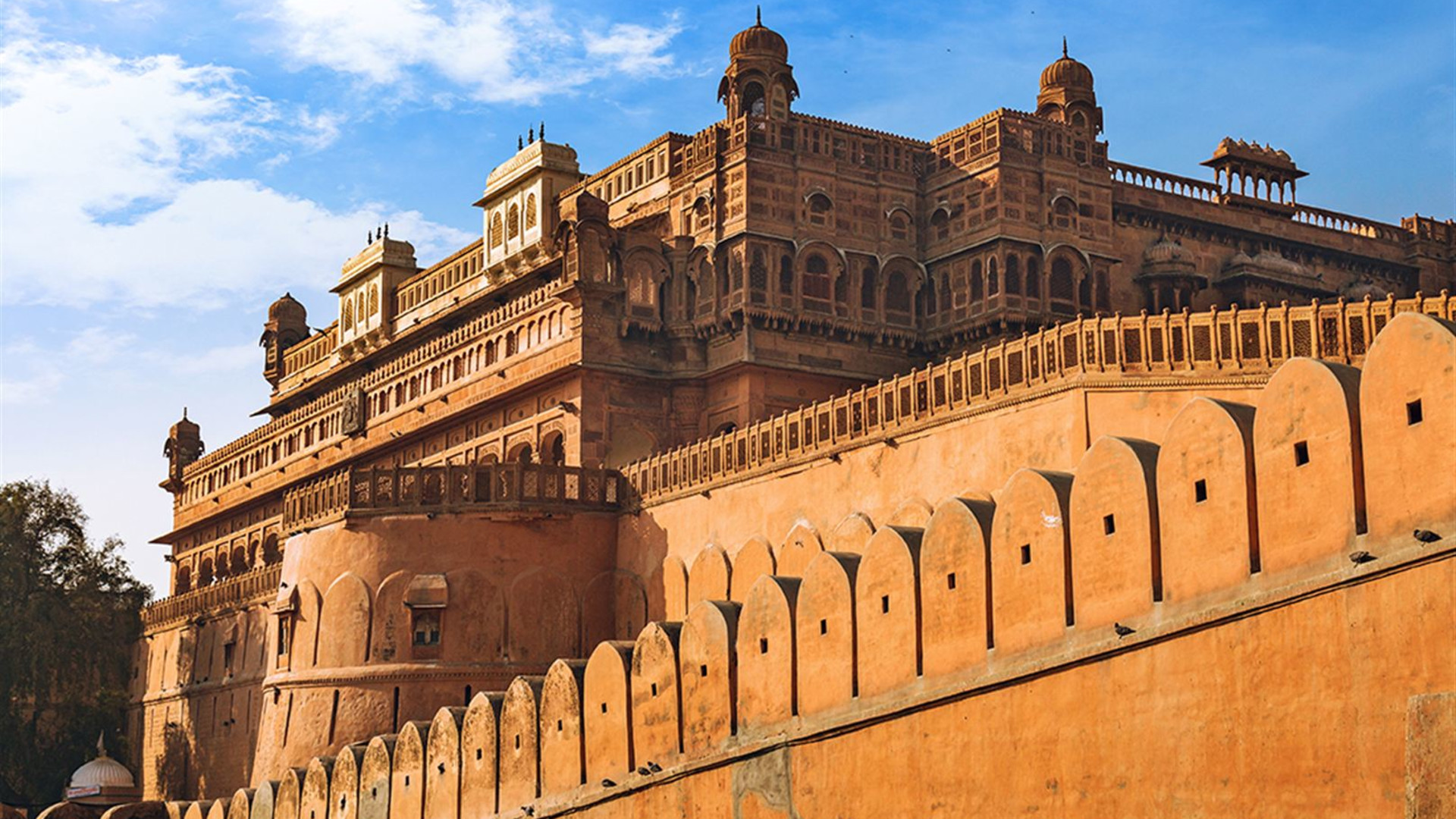 Click to view large image Real Rajasthan