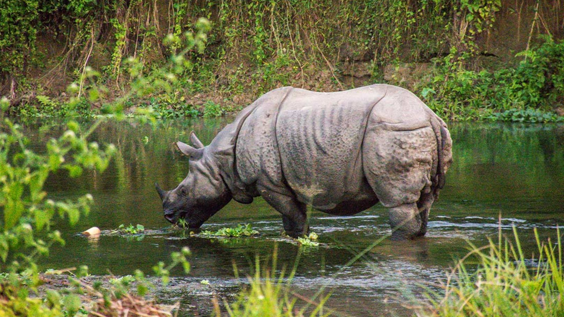 Click to view large image Nepal Adventure