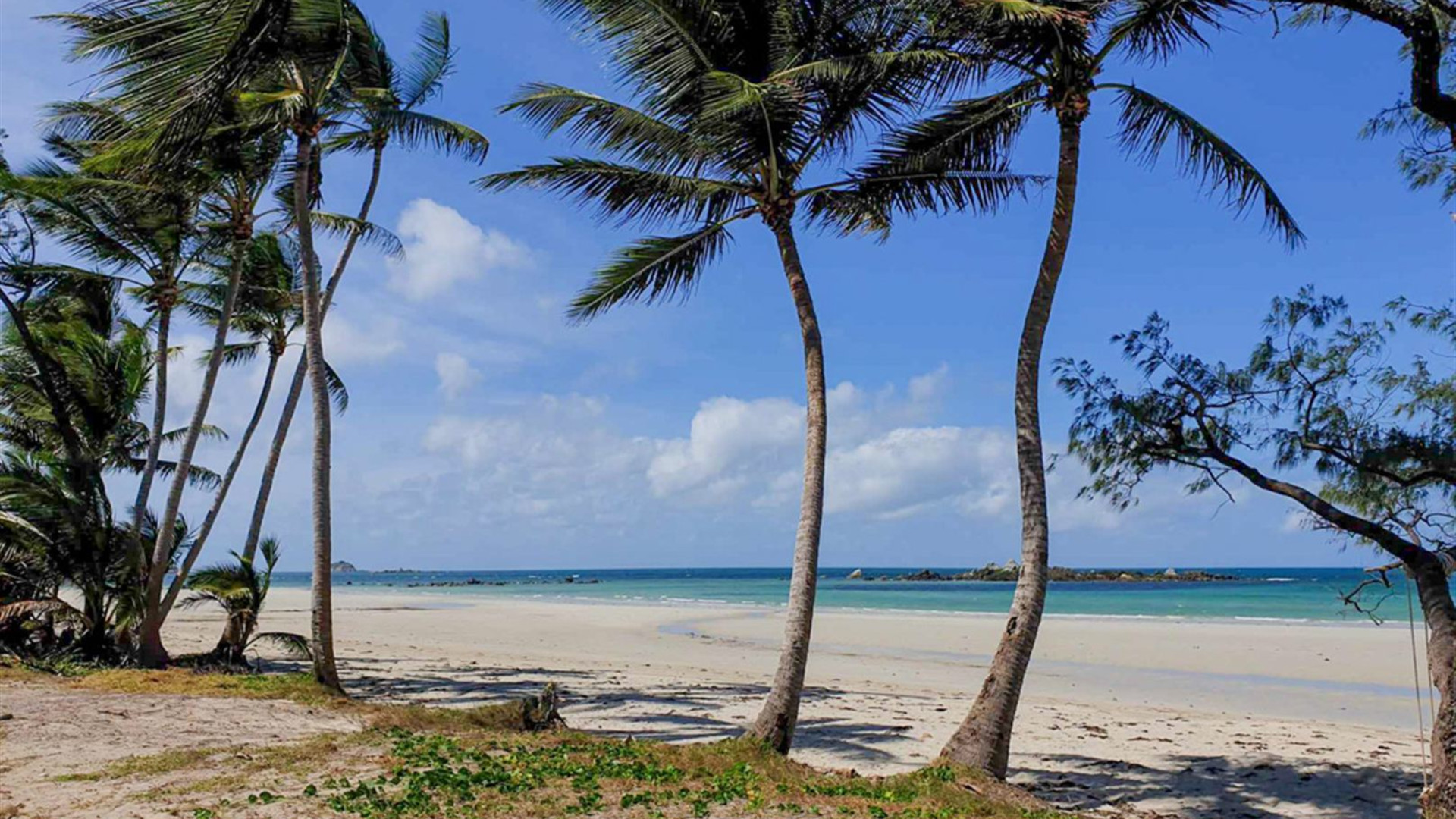 Click to view large image Cape York & Torres Strait Explorer