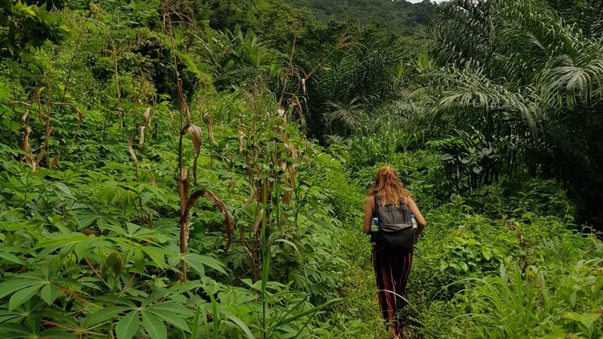 Click to view large image Benin, Togo & Ghana Adventure