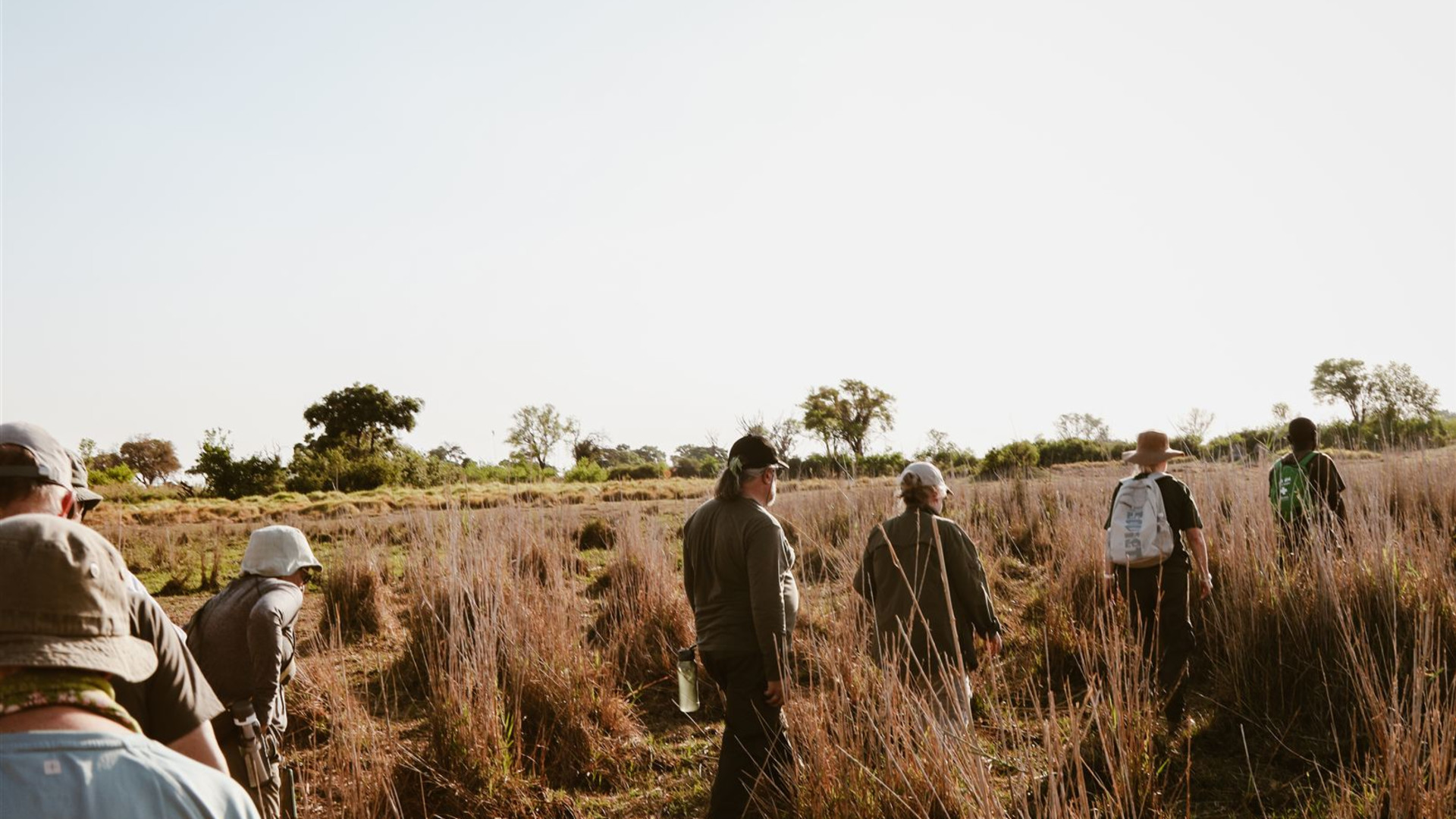 Click to view large image Botswana & Zimbabwe Lodge Safari