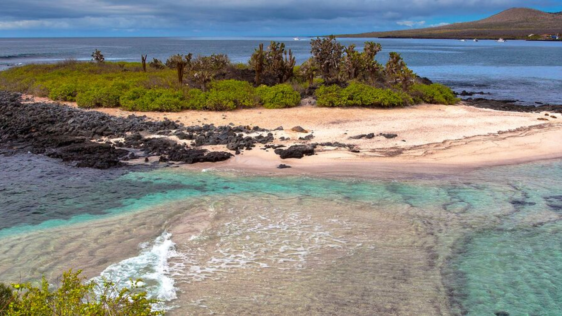 Click to view large image Galapagos at a Glance: Southern Islands (Grand Daphne)