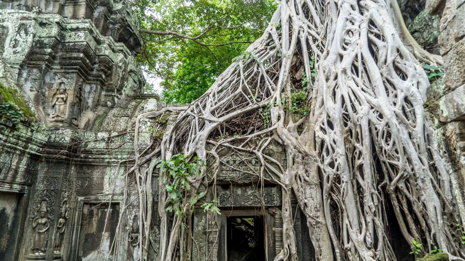 Click to view large image Cambodia Adventure